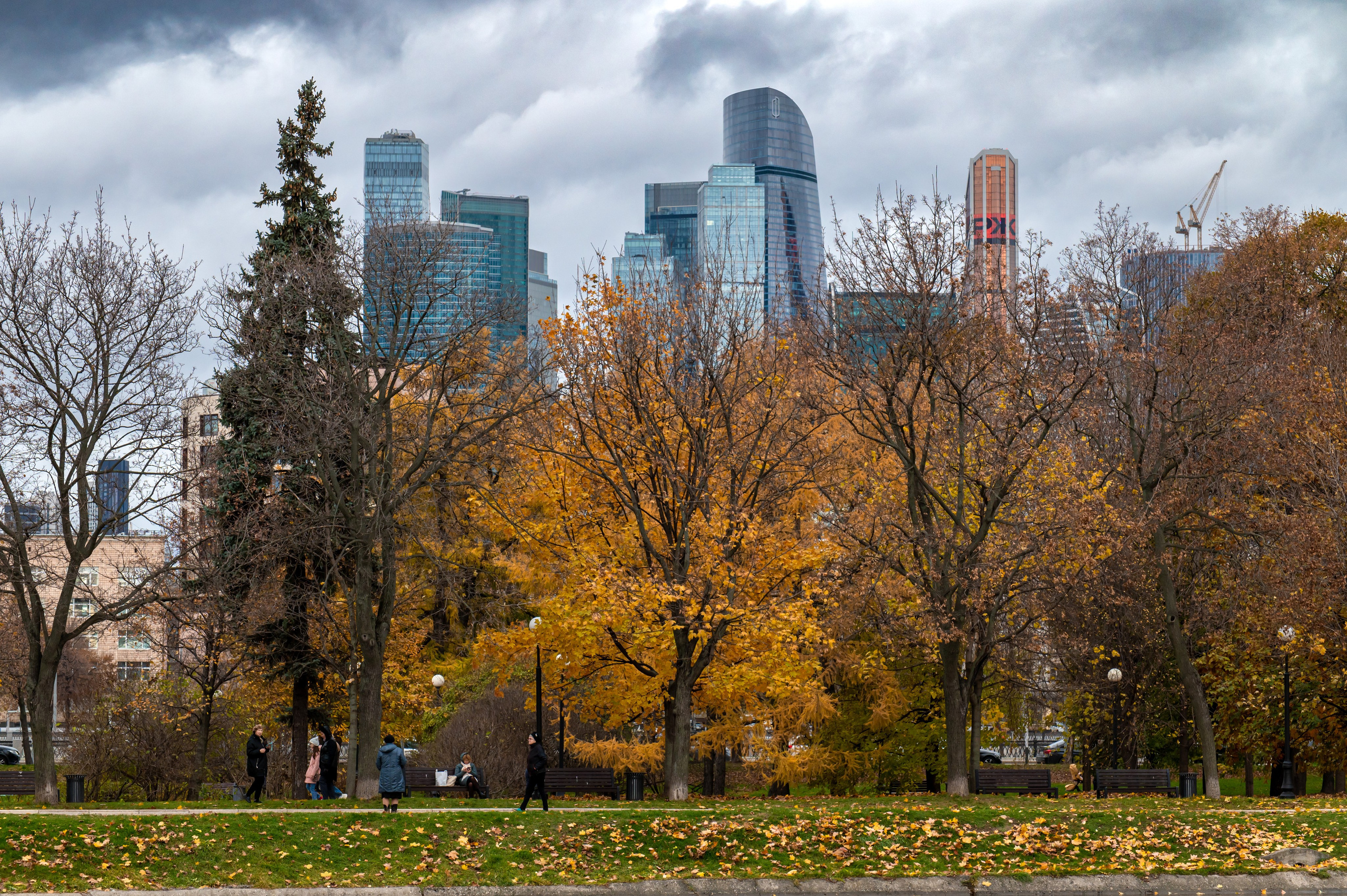 20221030 Новодевичий. Дмитрий Ремизов. Фотография, как хобби