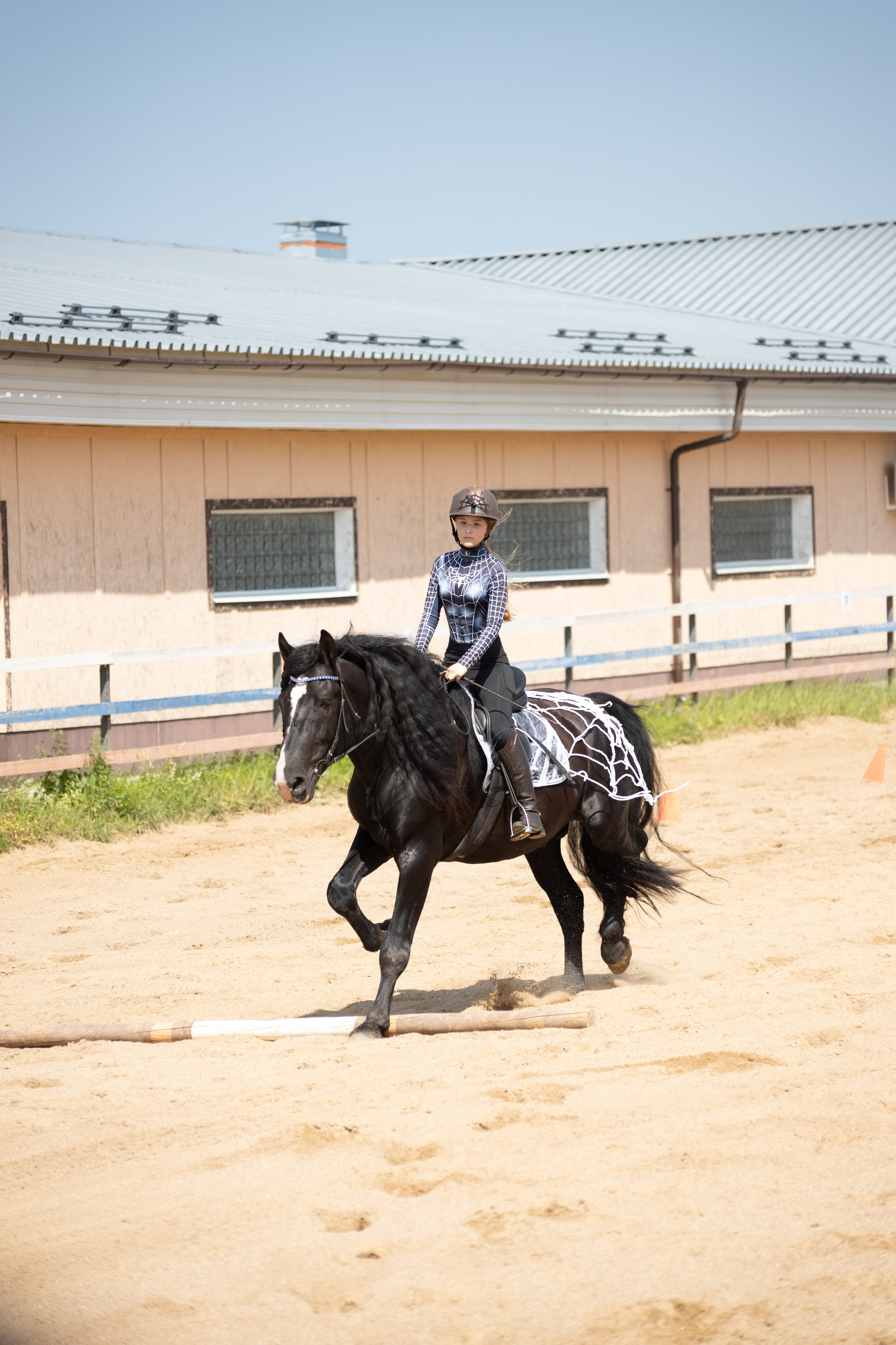 Конюшня. Фотограф в Москве и Истре
