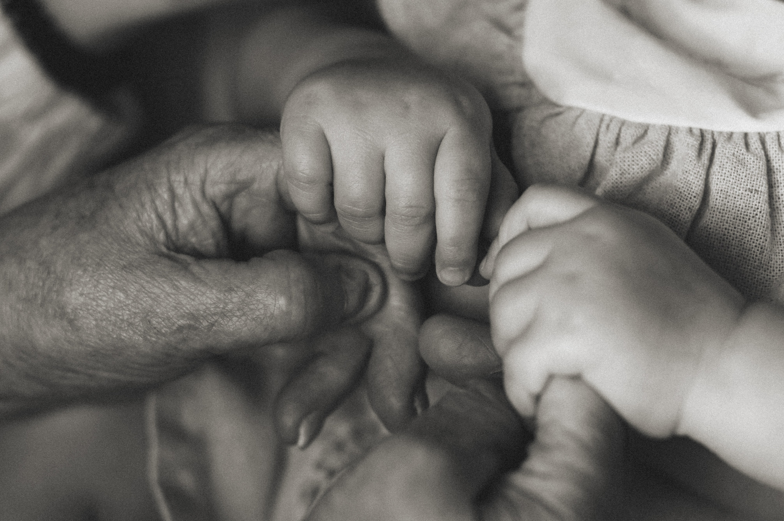 История 4х поколений…. Семейный фотограф в г. Ставрополь, Сорокина Мария