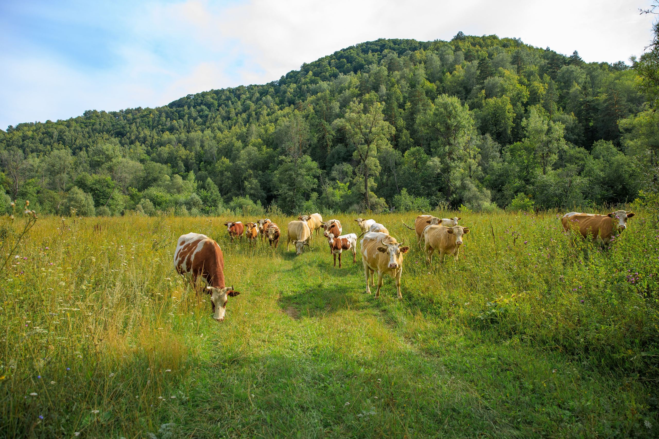 Nature. Фотохудожник Мила Мокина-Хайруллова. Екатеринбург