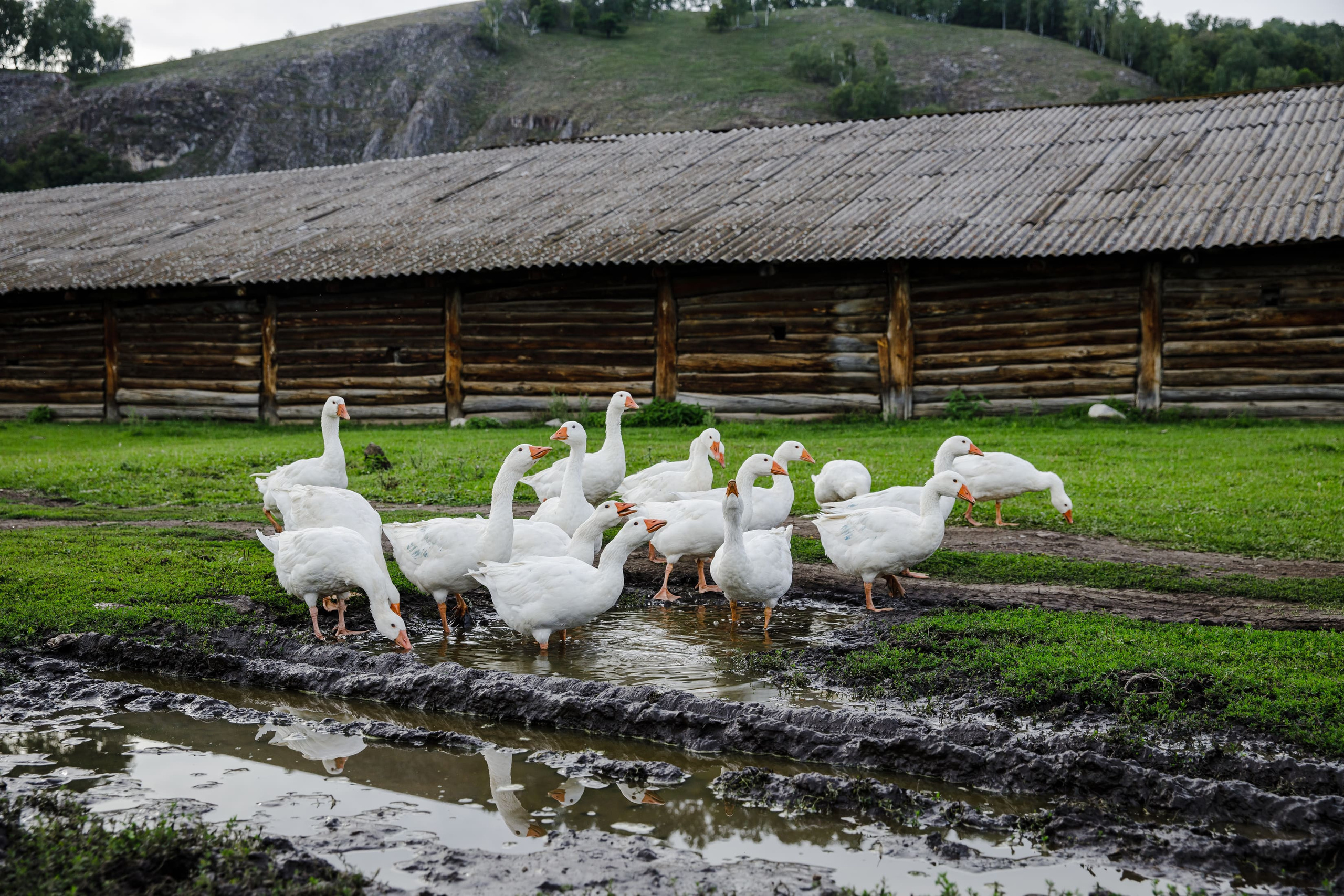 Nature. Фотохудожник Мила Мокина-Хайруллова. Екатеринбург