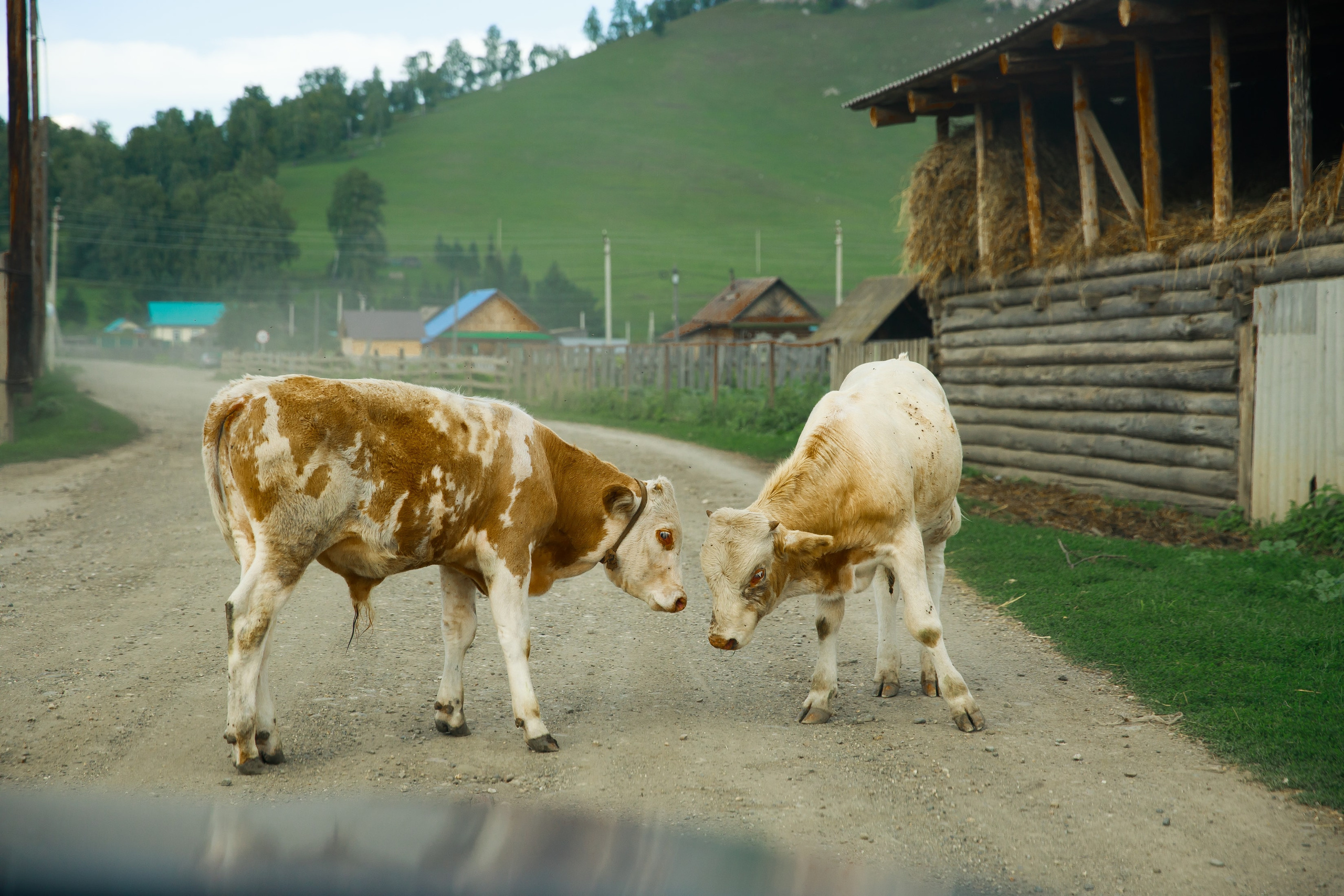 Nature. Фотохудожник Мила Мокина-Хайруллова. Екатеринбург
