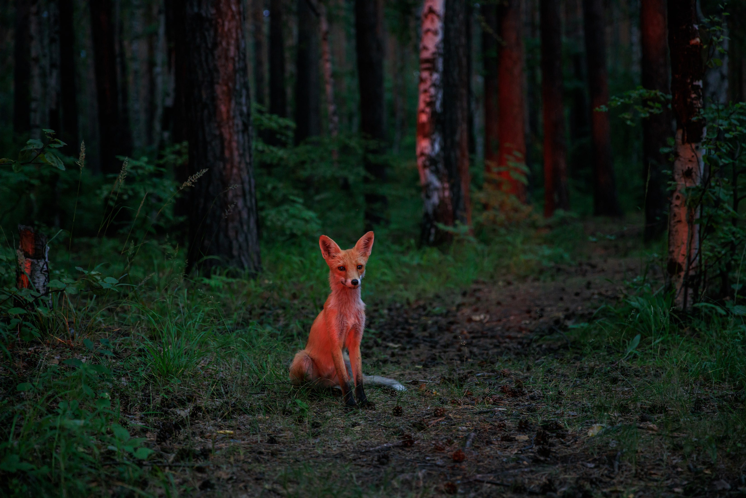 Nature. Фотохудожник Мила Мокина-Хайруллова. Екатеринбург