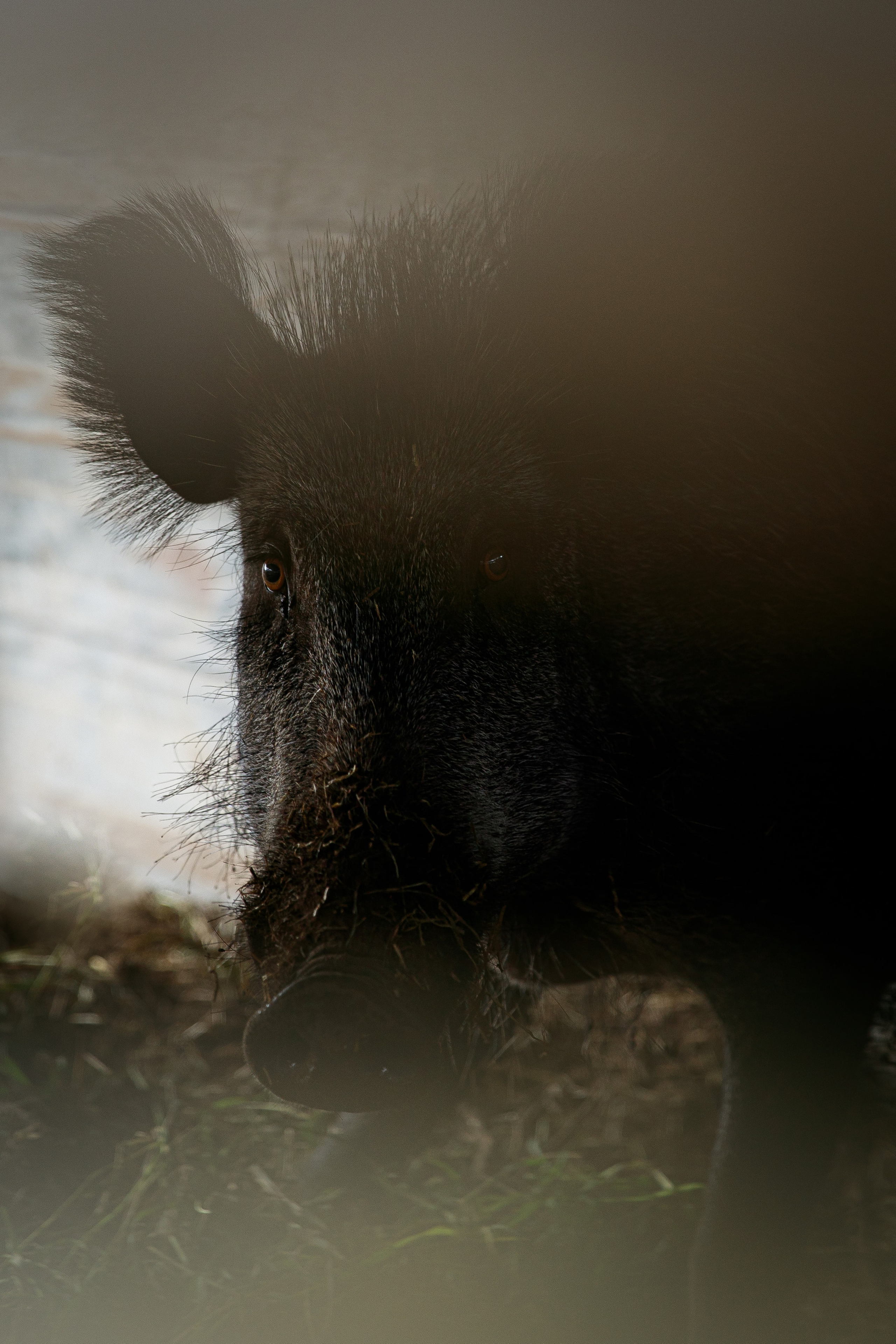 Nature. Фотохудожник Мила Мокина-Хайруллова. Екатеринбург