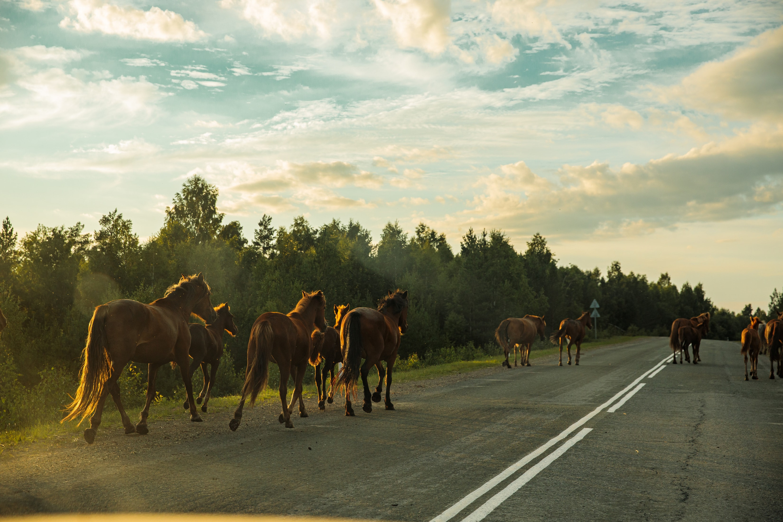 Nature. Фотохудожник Мила Мокина-Хайруллова. Екатеринбург