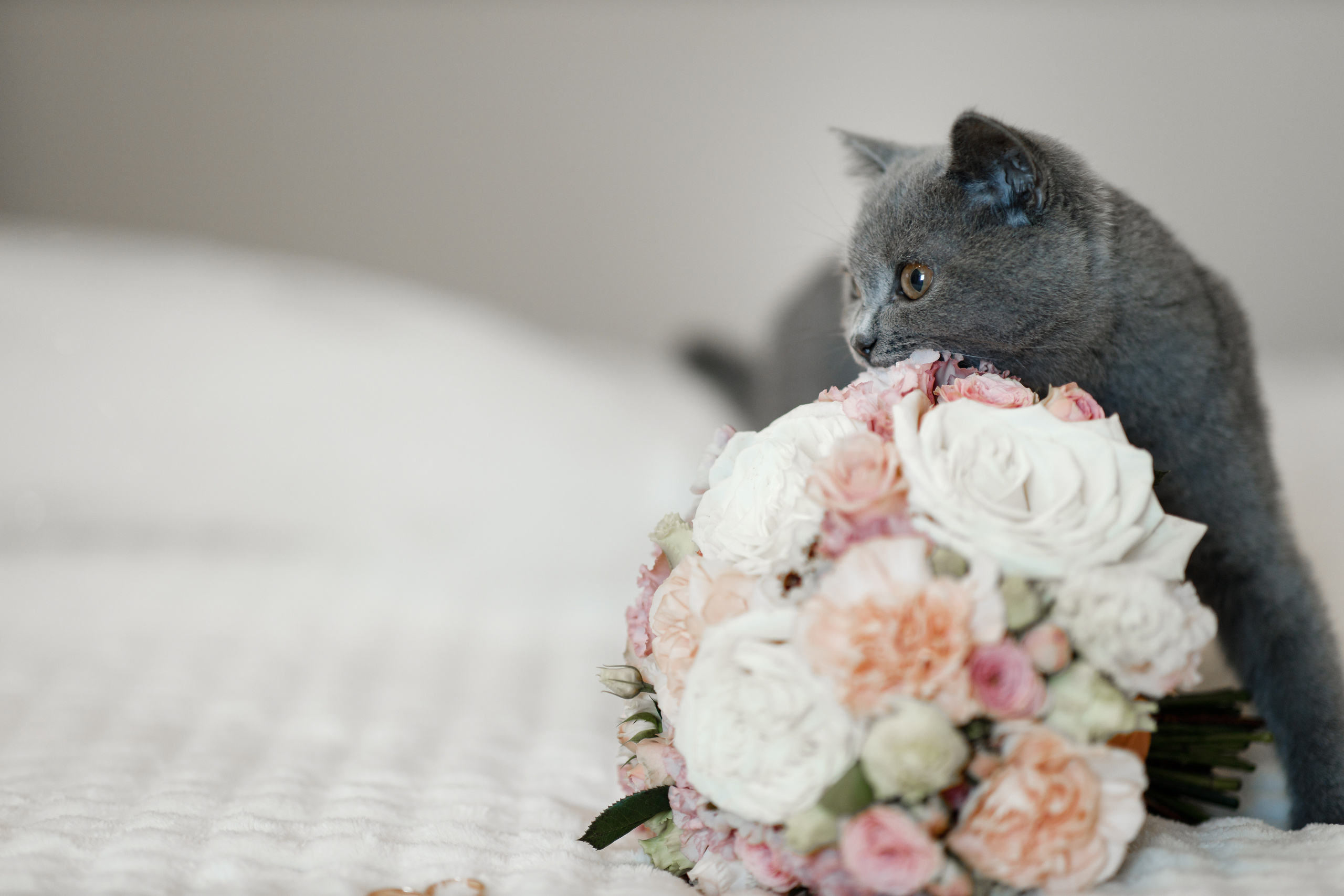 Анонс свадьбы Кати и Богдана. Свадебный фотограф в Крыму и Севастополе Ольга Баскакова