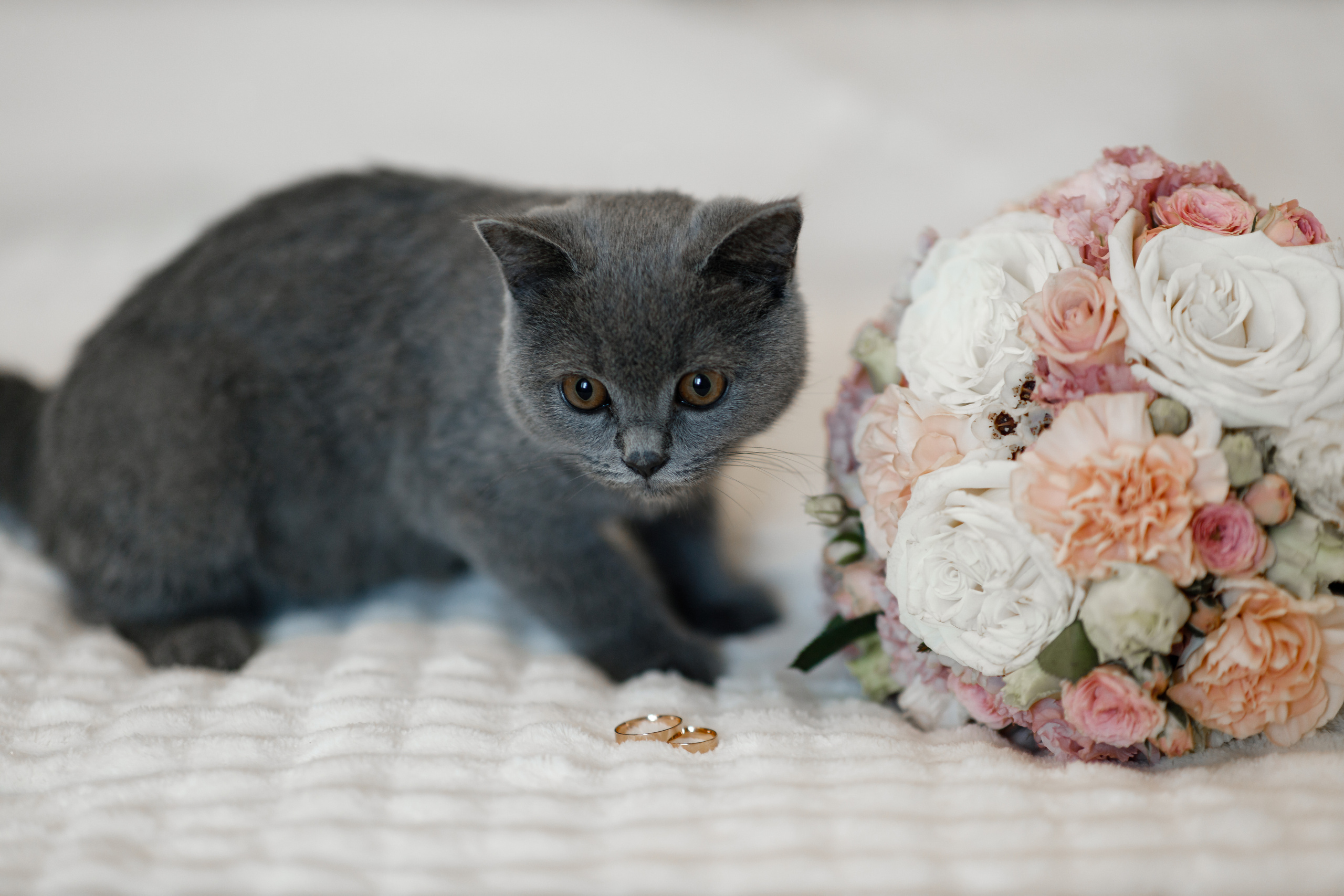 Анонс свадьбы Кати и Богдана. Свадебный фотограф в Крыму и Севастополе Ольга Баскакова