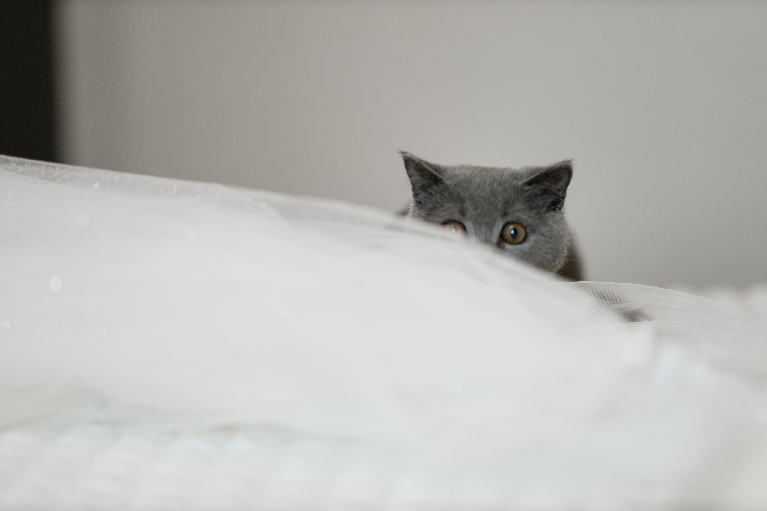 Анонс свадьбы Кати и Богдана. Свадебный фотограф в Крыму и Севастополе Ольга Баскакова