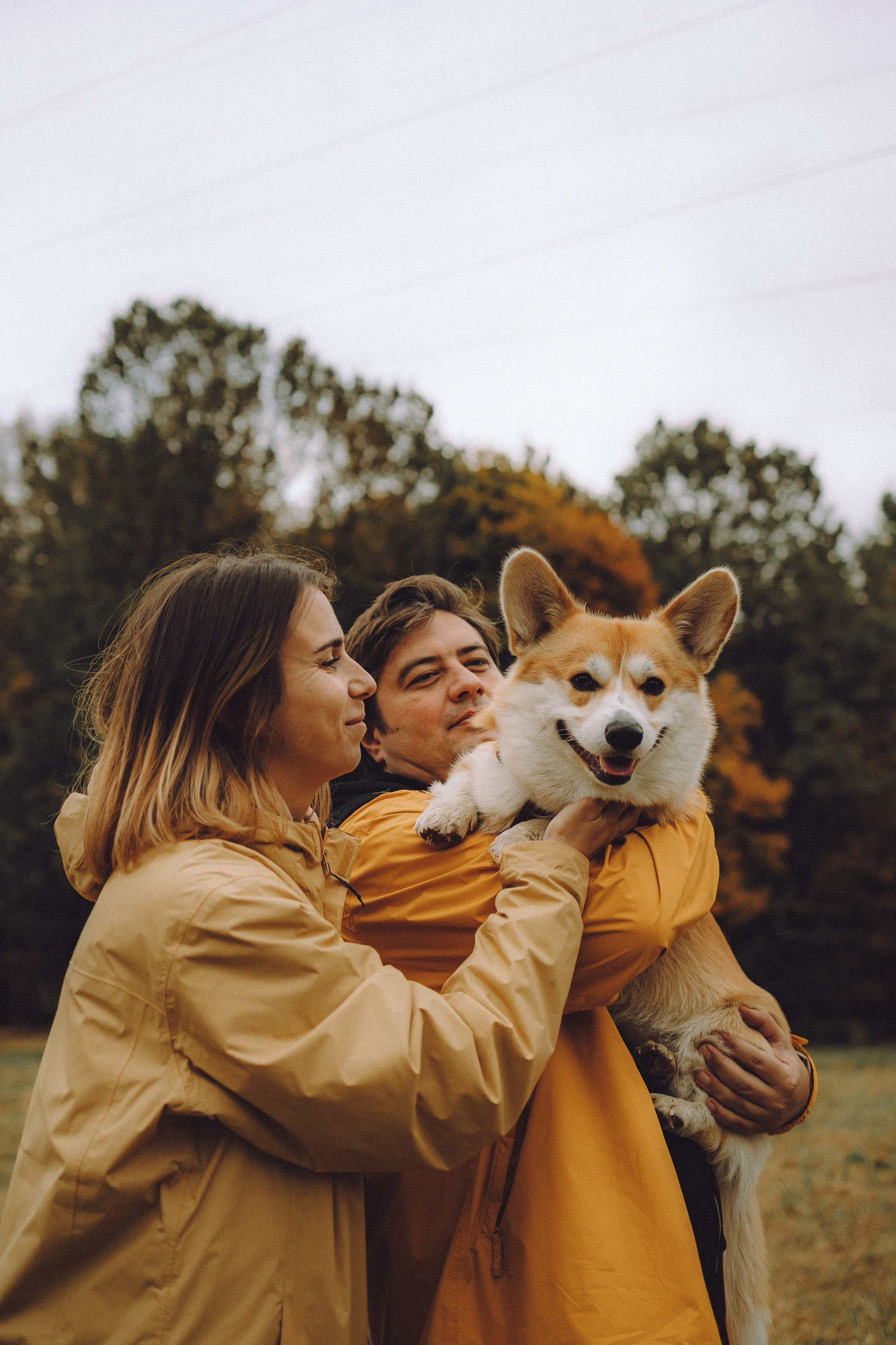 Вирджик и его семья