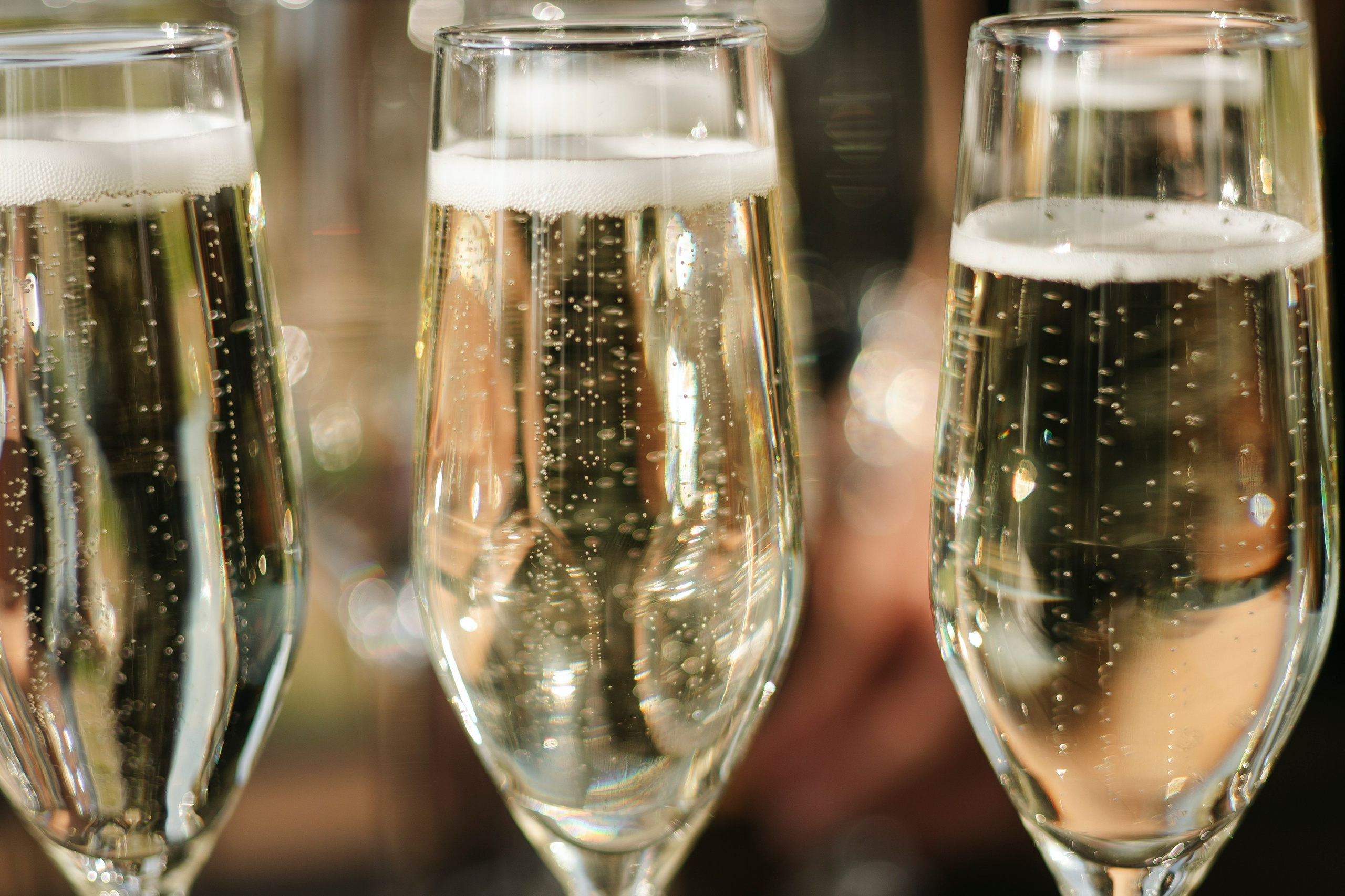 Артём и Вероника pine river. Nikolpinhasova