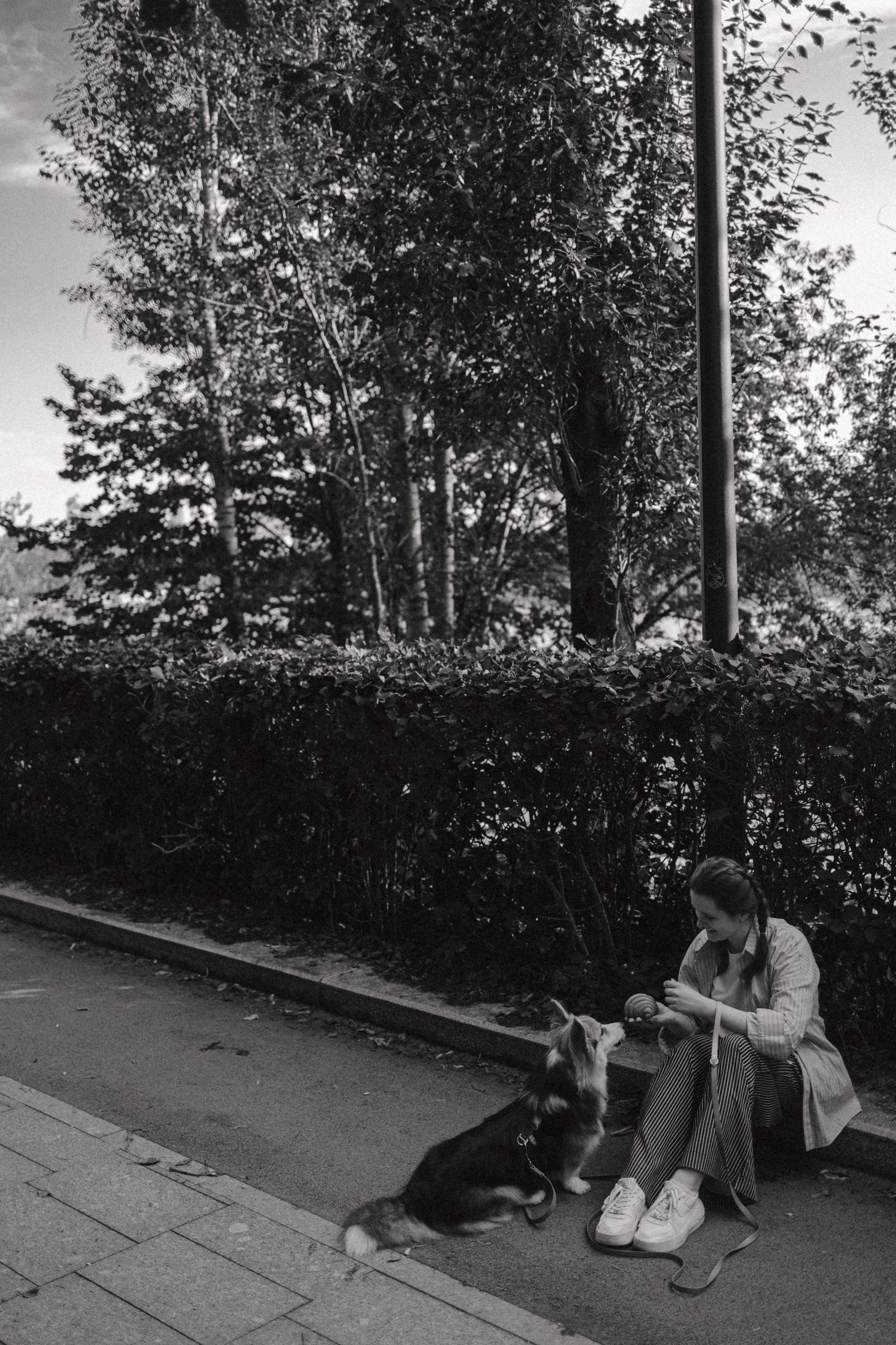 Мишель и Влада. Фотораф — анималист Мария Шистка