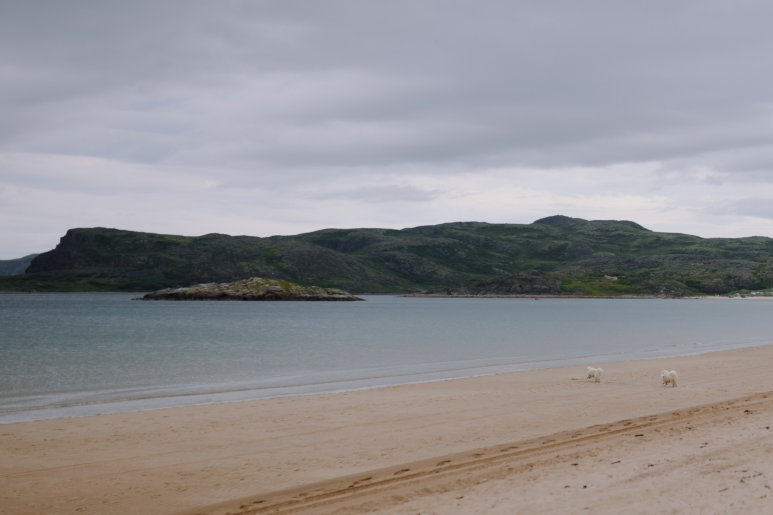 Свадьба в Териберке. Фотограф и видеограф в Мурманске, Москве Екатерина Нечаева