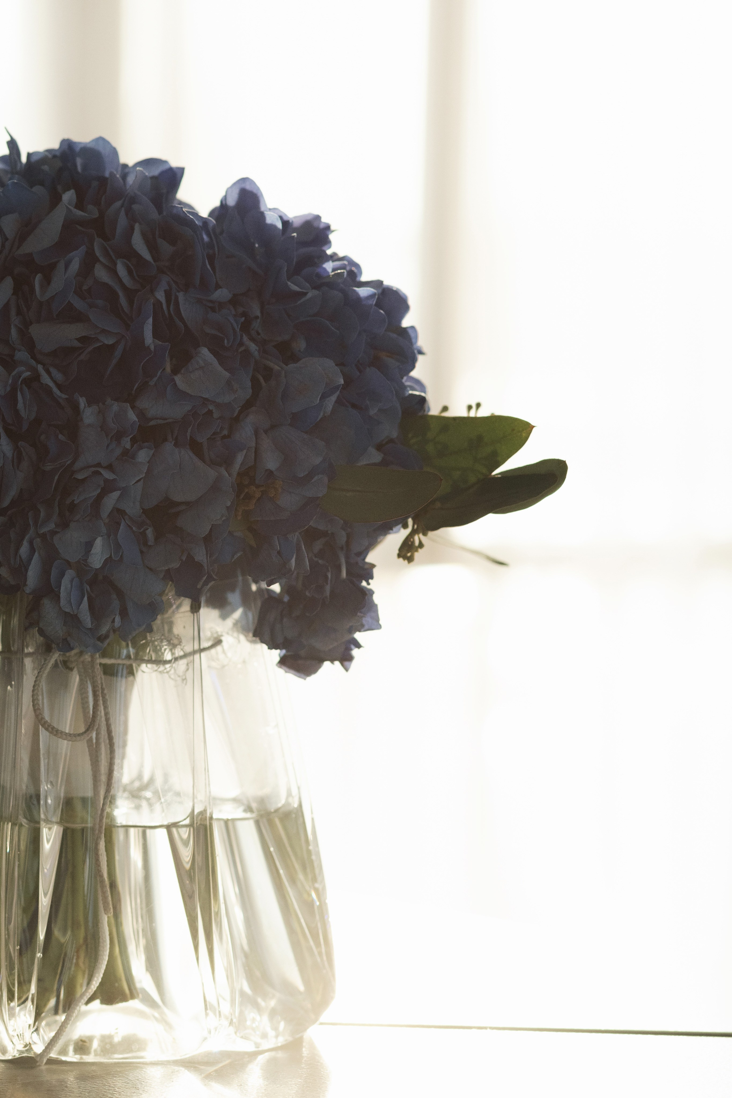 Valerian & Alina. Фотограф в Томске Ирина Павлуцкая