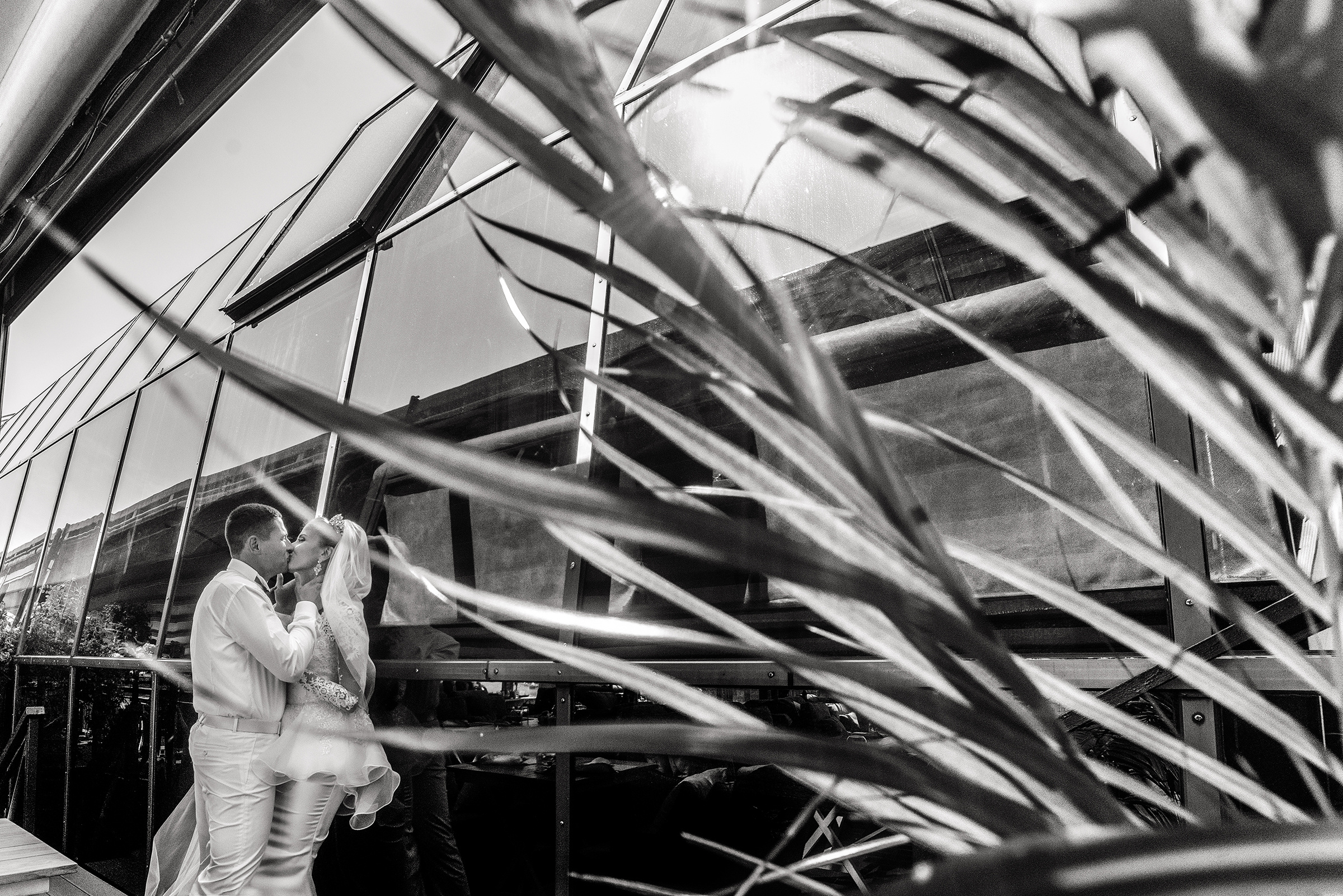 Фото Видео Дизайн