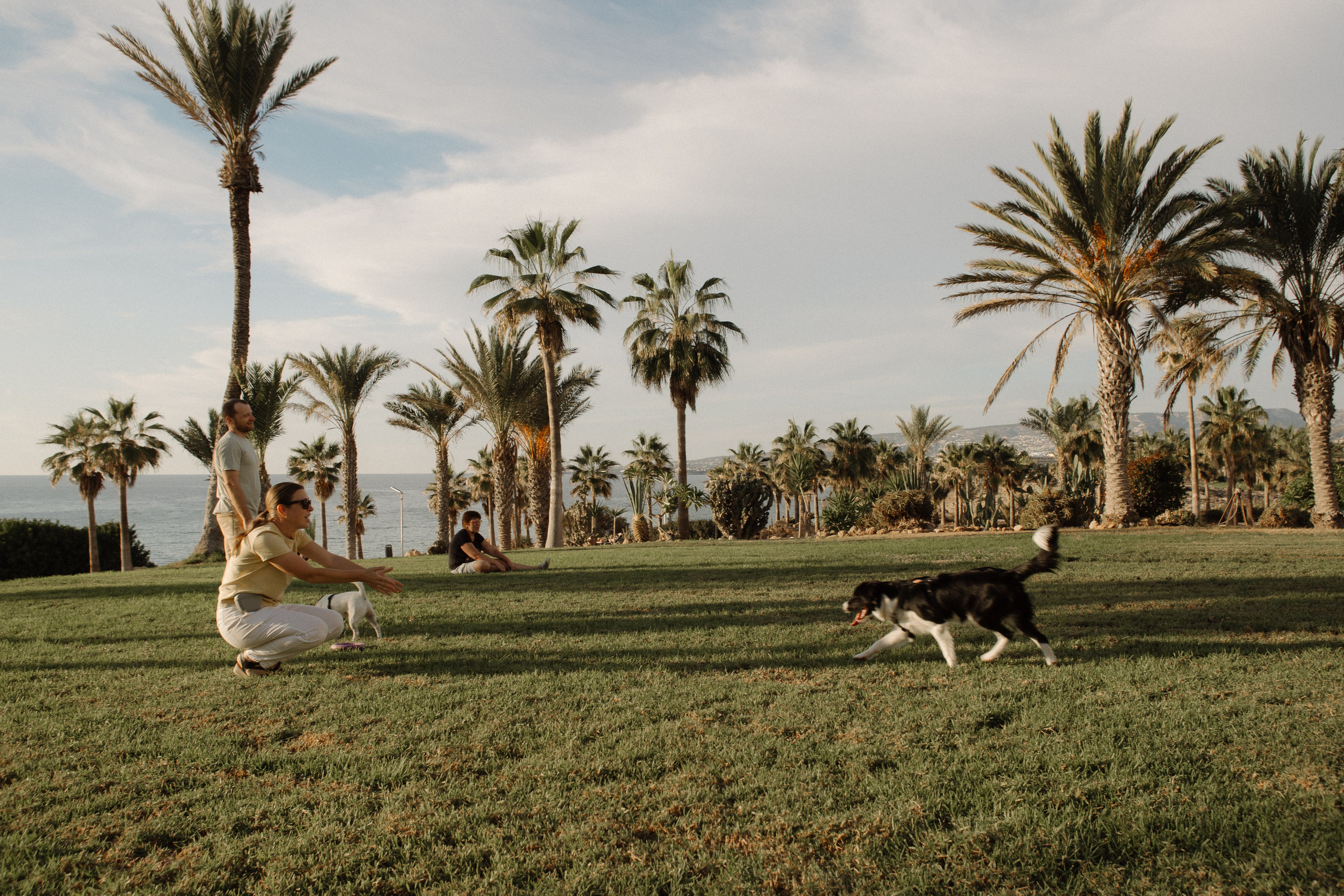 Melymko fam. Portrait, family and pet photographer in Cyprus, Ksenia Bourdelle