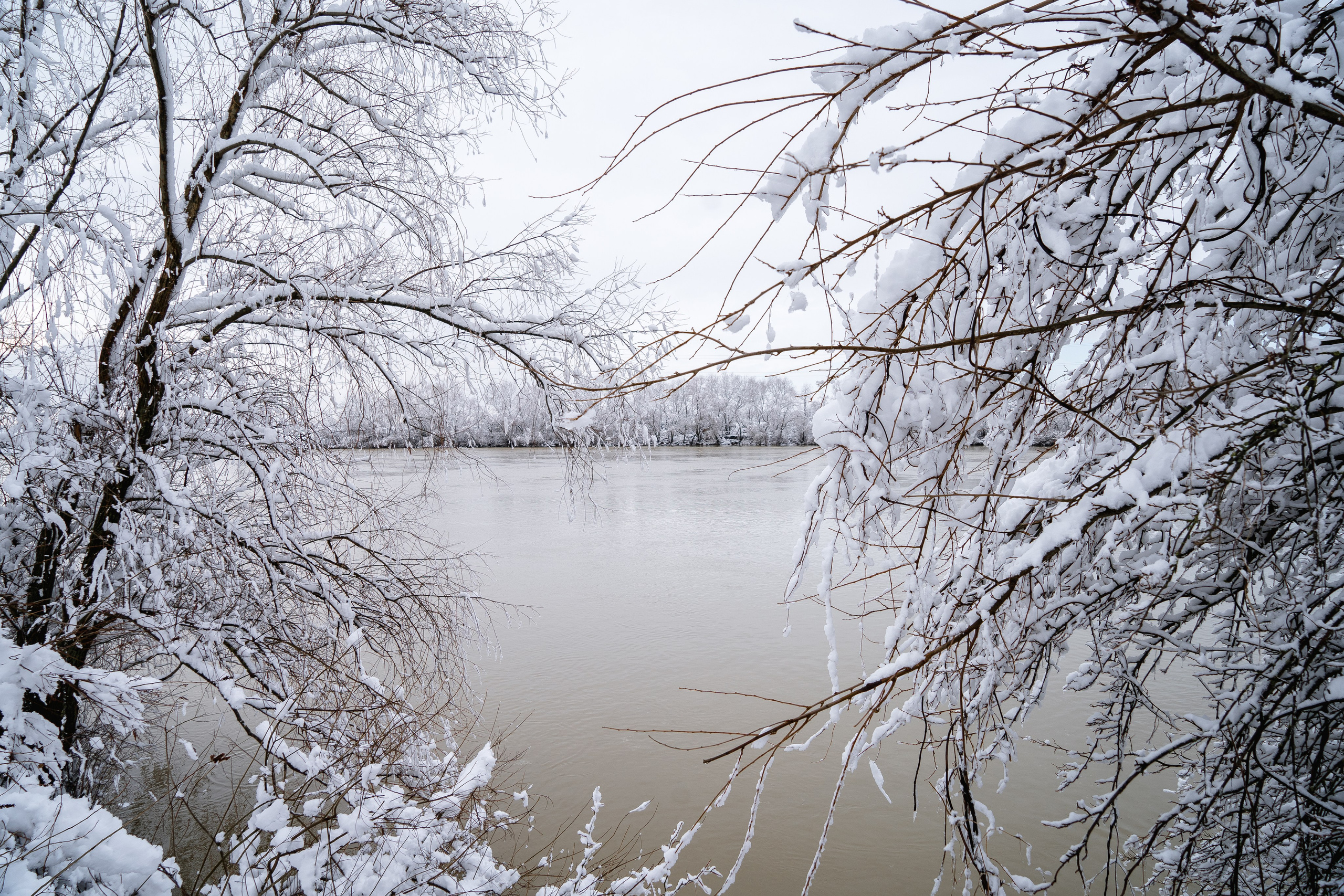 Зима 2024. Свадебный и семейный фотограф/видеограф в Краснодаре Наталья Осинская