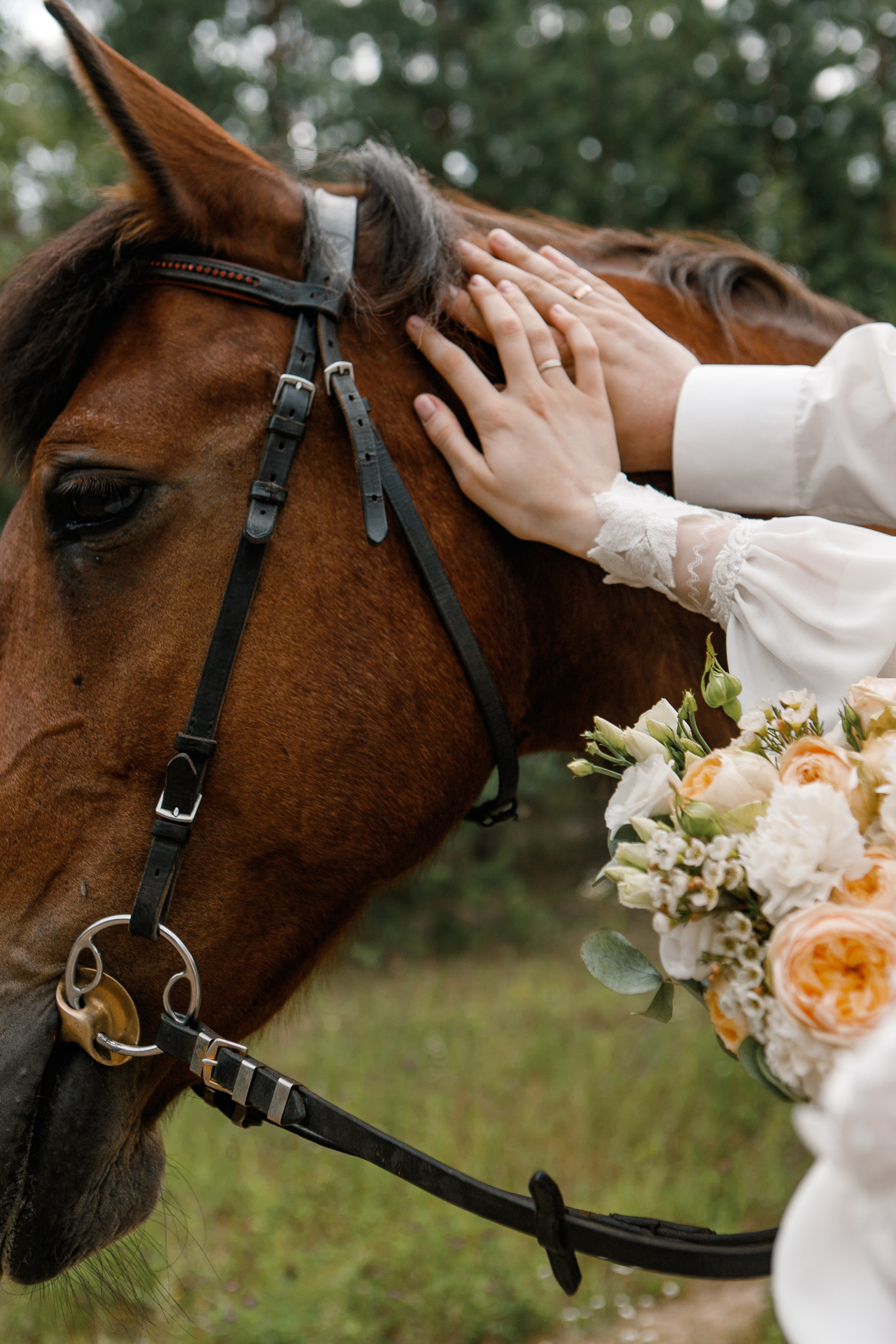 Екатерина и Евгений. Фотограф Анастасия Кулешова