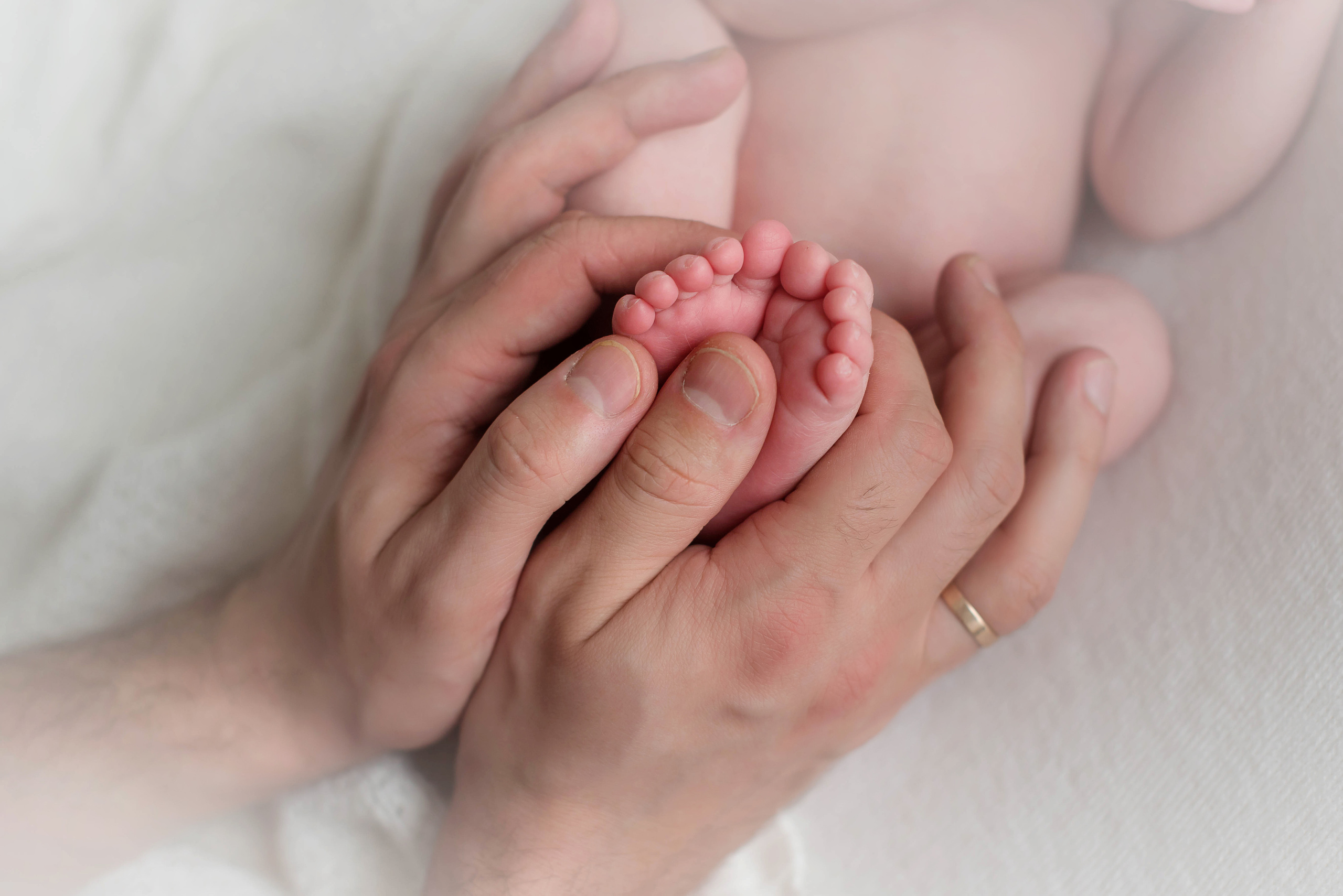 Миша 11 дней. Фотограф новорожденных Елена Панова