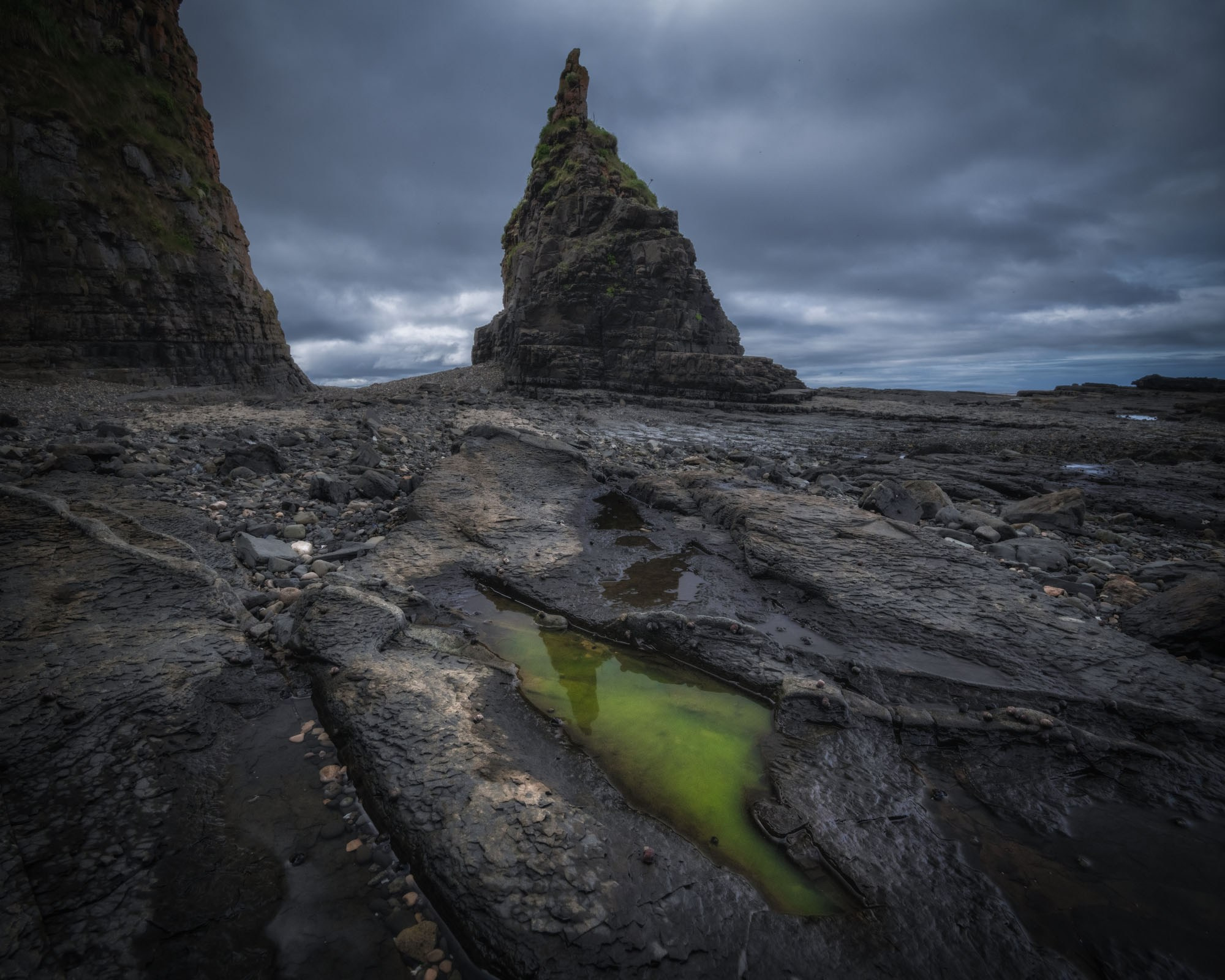 Фотоэкспедиция в Корякию и Командоры 2026