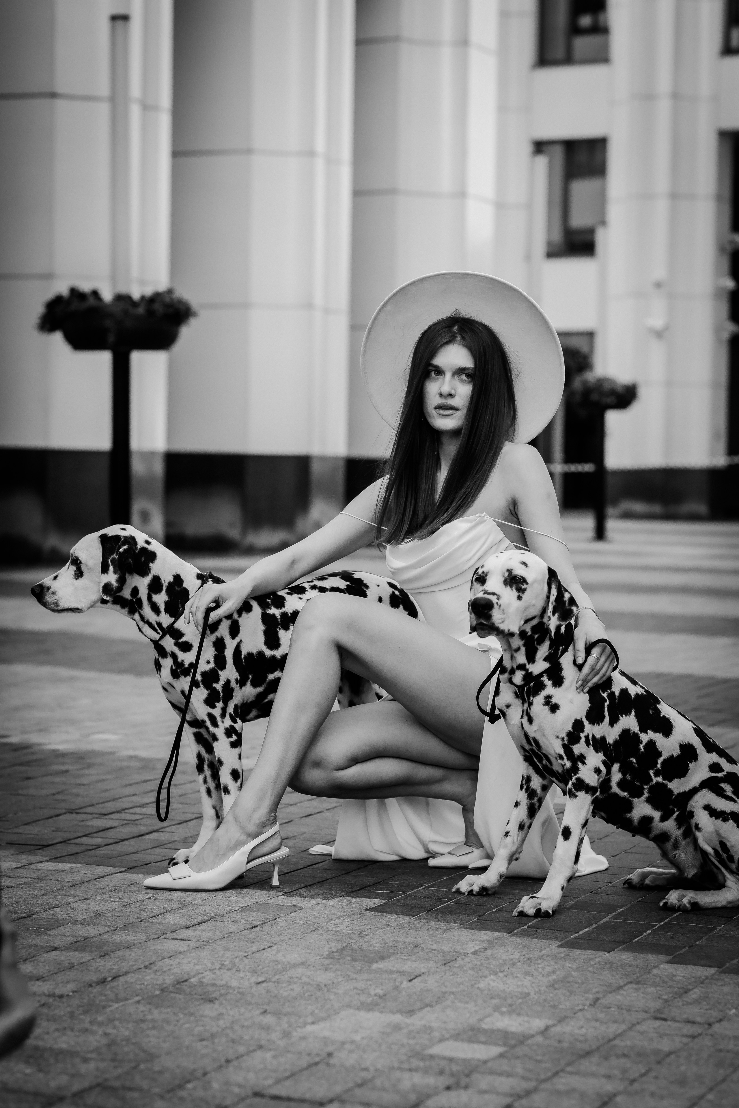 Новая Круэлла Девиль в действии. Свадебный фотограф в Москве