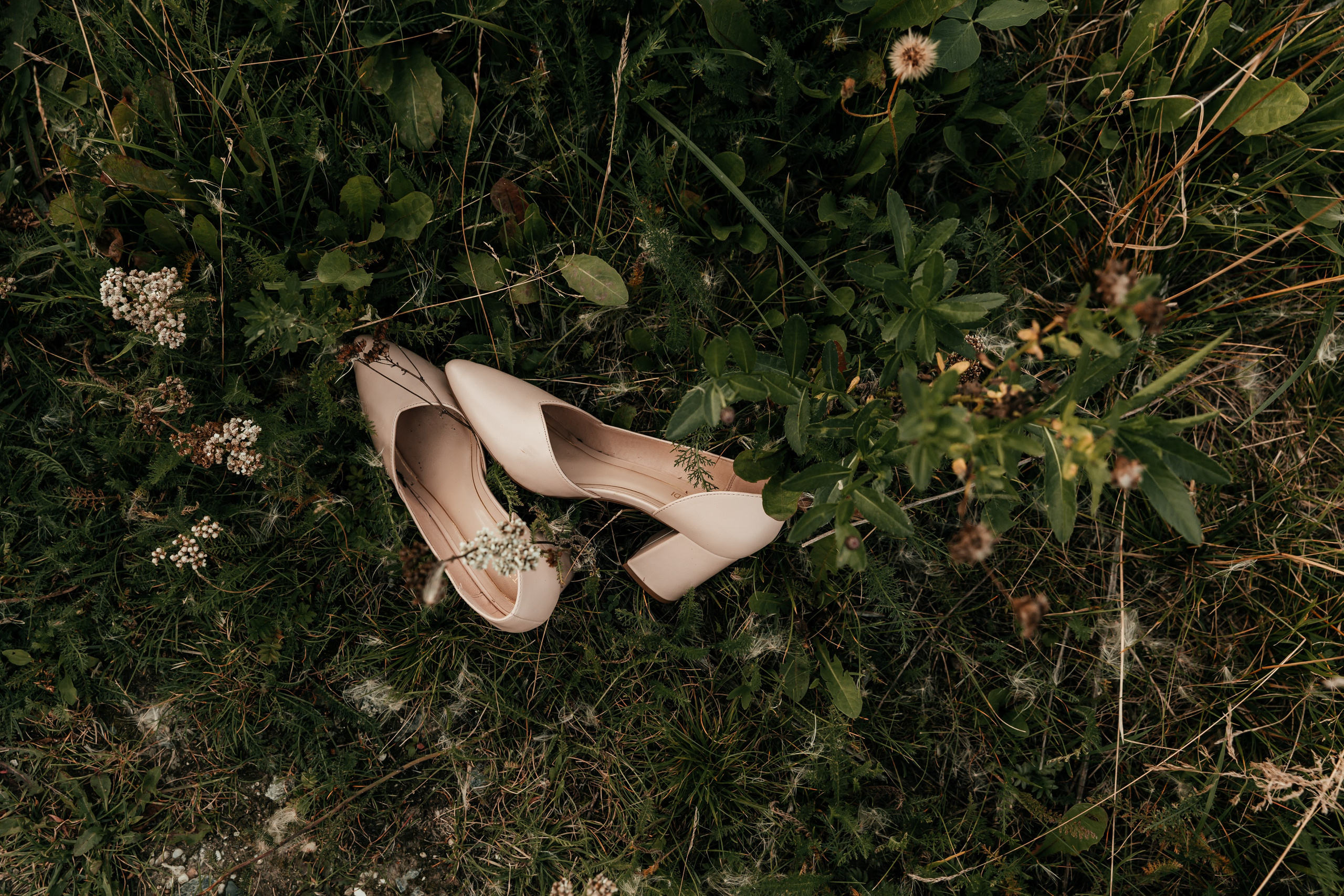 MORE WEDDING PHOTOS. Главная