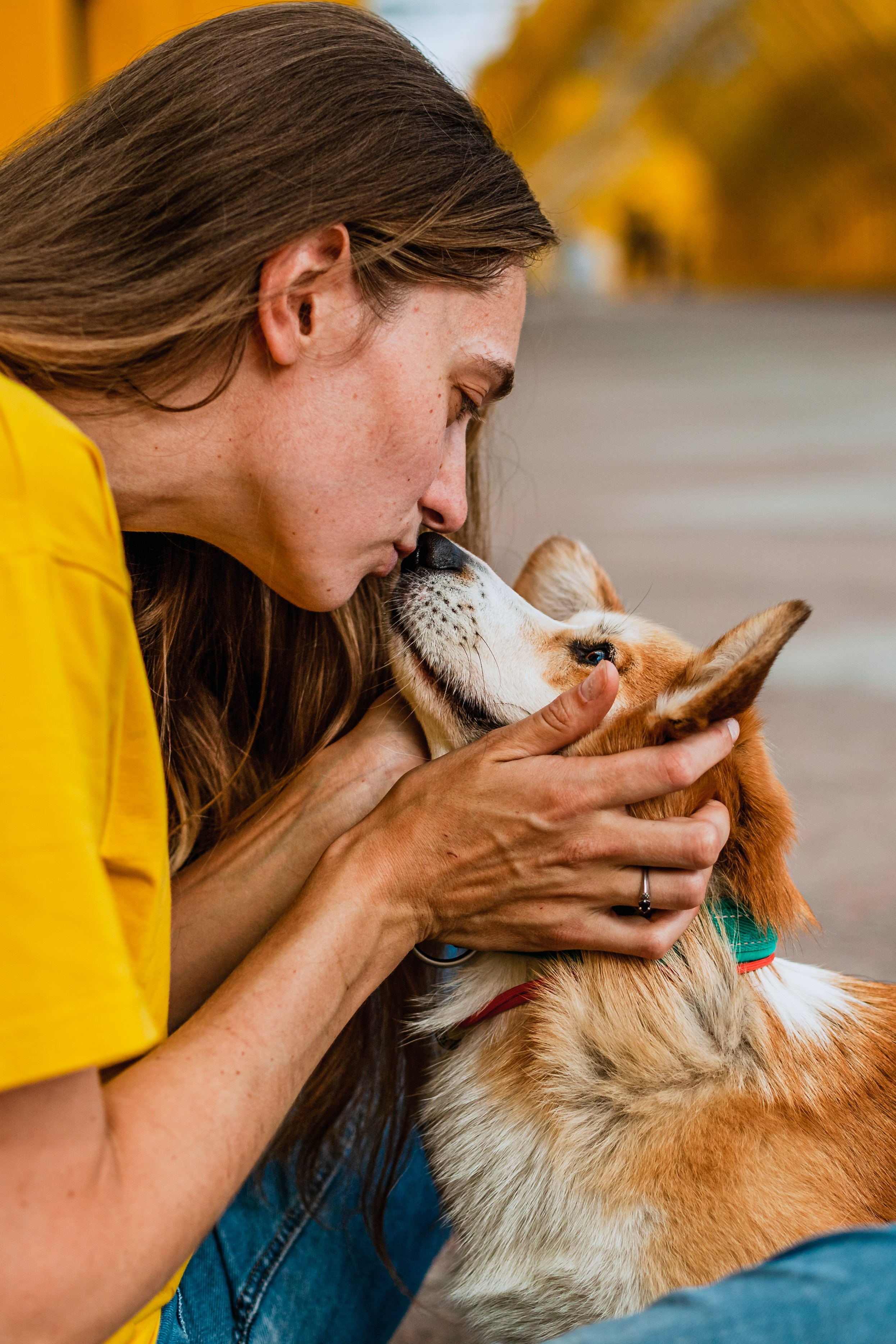 Андреевский мост. Фотограф-анималист Татьяна Степанова
