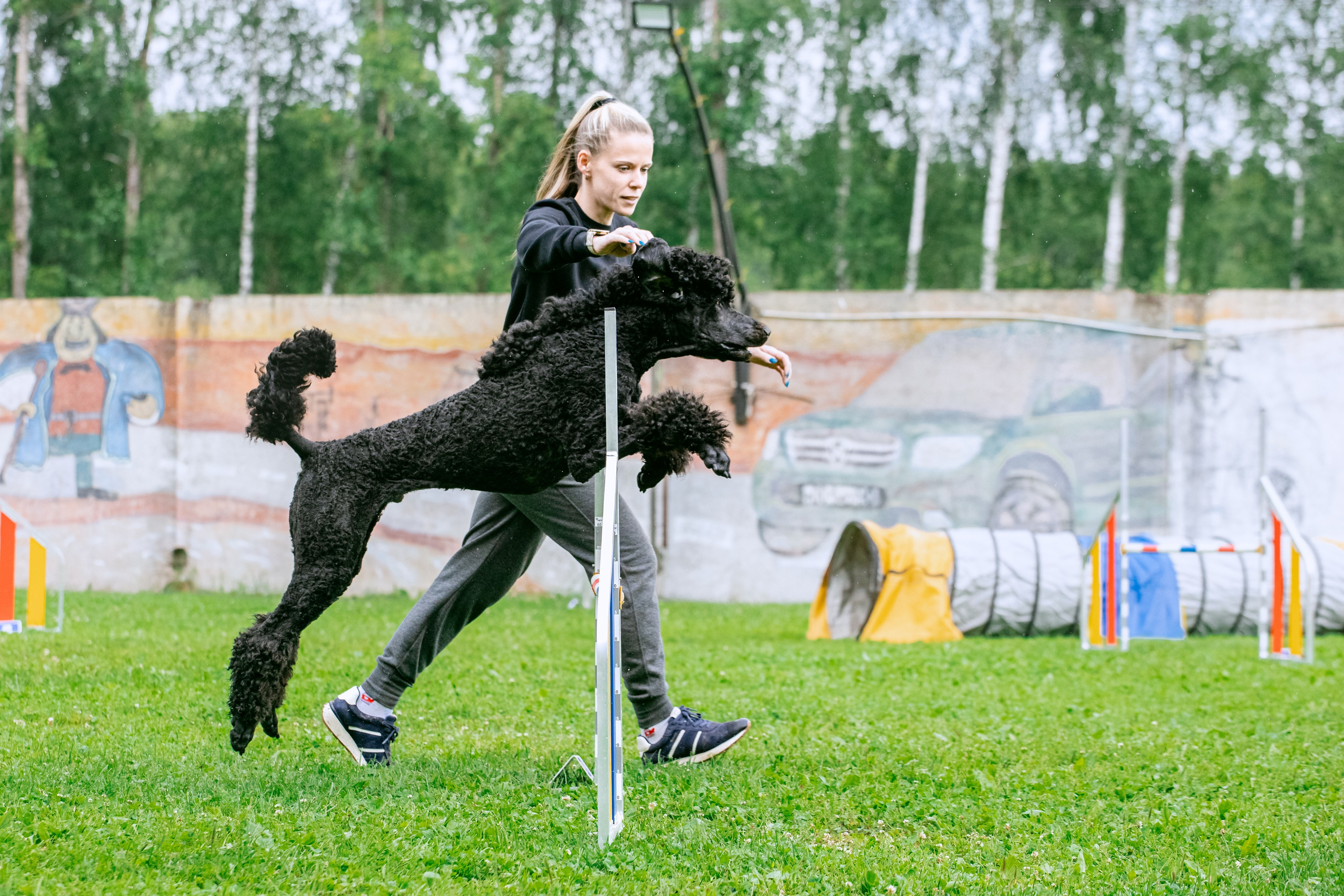Соревнования по аджилити Долгопрудный 30.06.2025. Фотограф-анималист Татьяна Степанова