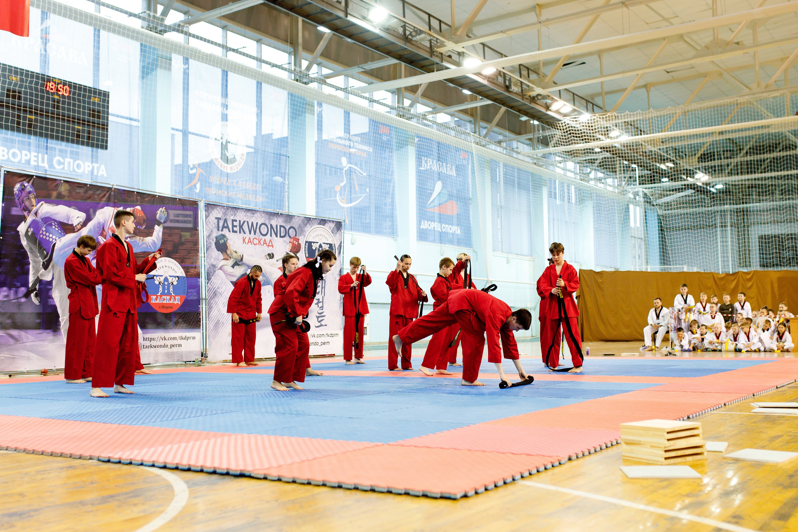 Тхэквондо СК «Каскад». Фотограф Дмитрий Молчанов | Фотограф Пермь | Фотограф
