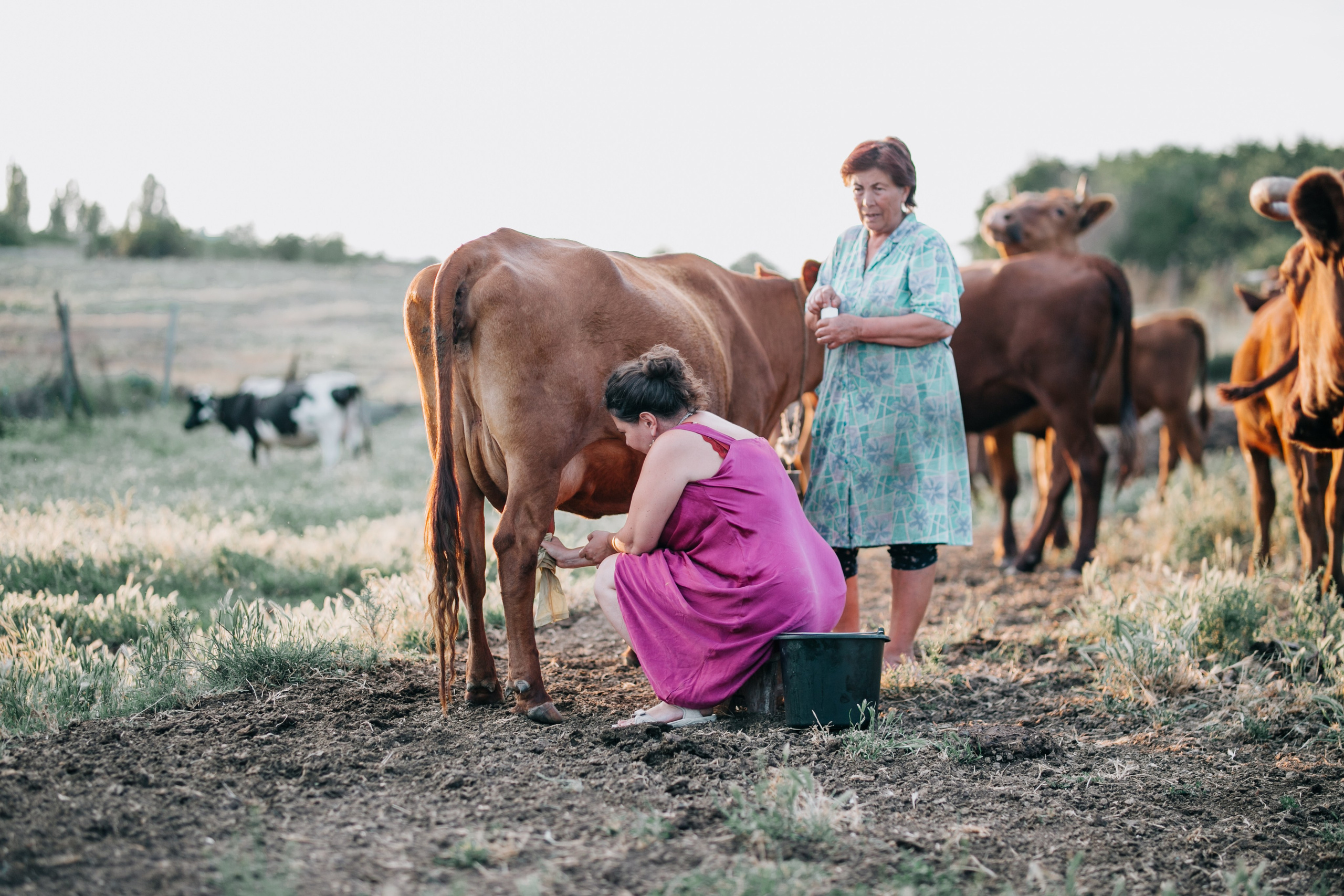 Пасечное. Встреча женщин блога «Моя простая роскошная жизнь». Фотограф в Крыму