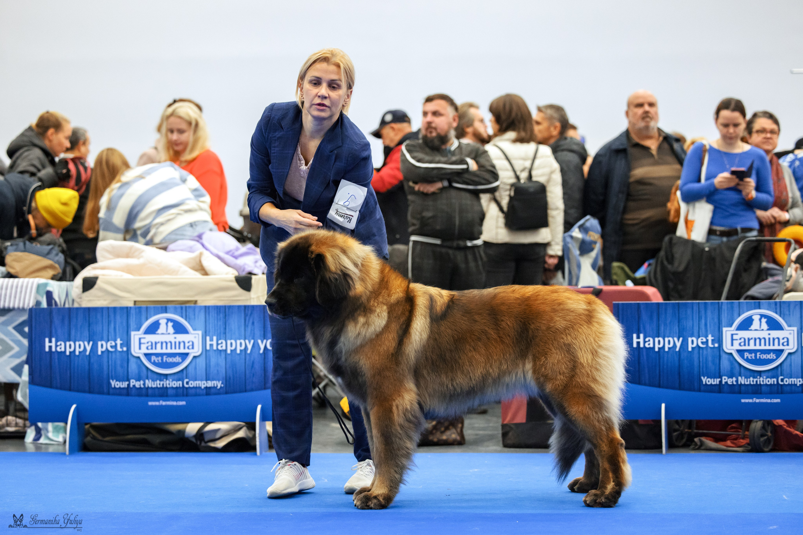 Нижний Новгород 21-22.10.2023. Фотограф-анималист Юлия Германика