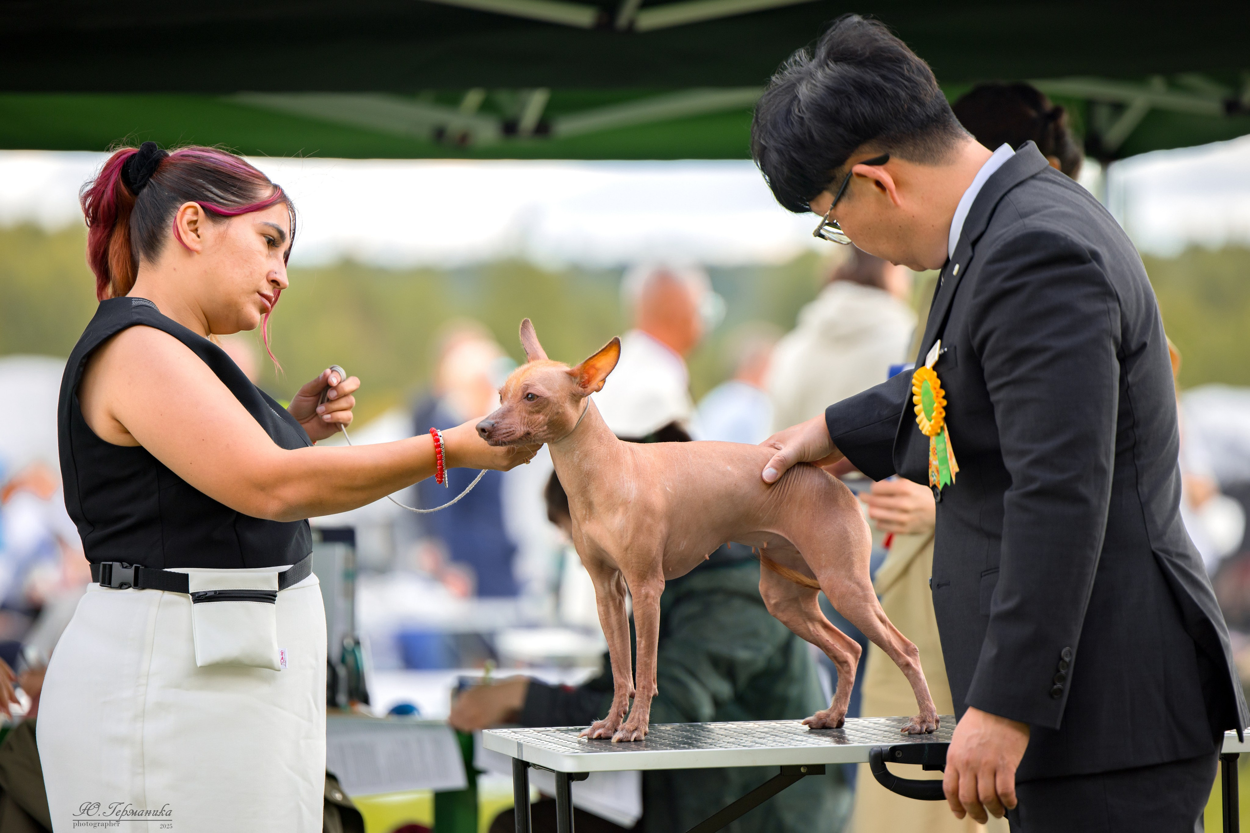 Переславль 5-7.08.2025. Фотограф-анималист Юлия Германика