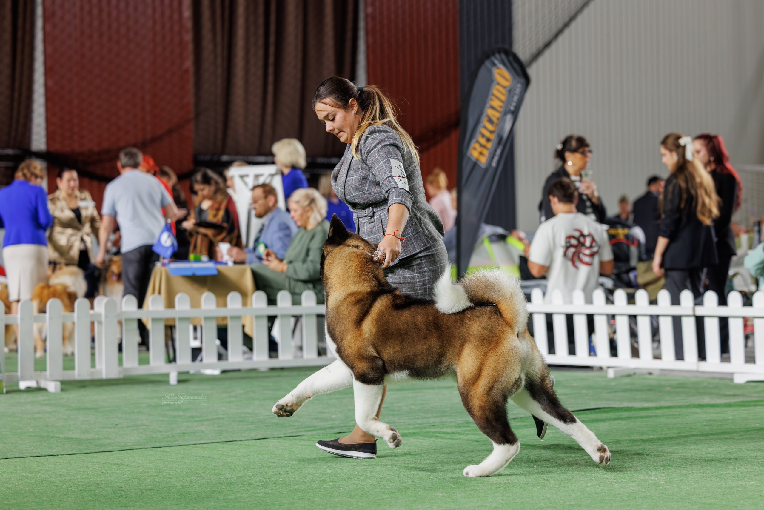 Телави 11-12.10.2025. Фотограф-анималист Юлия Германика
