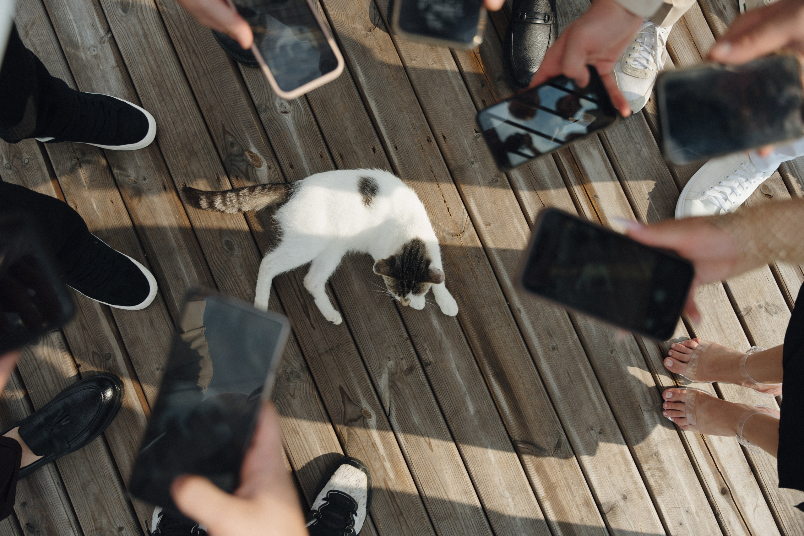 Егор+Вика. Свадебный и репортажный фотограф Александр Родин