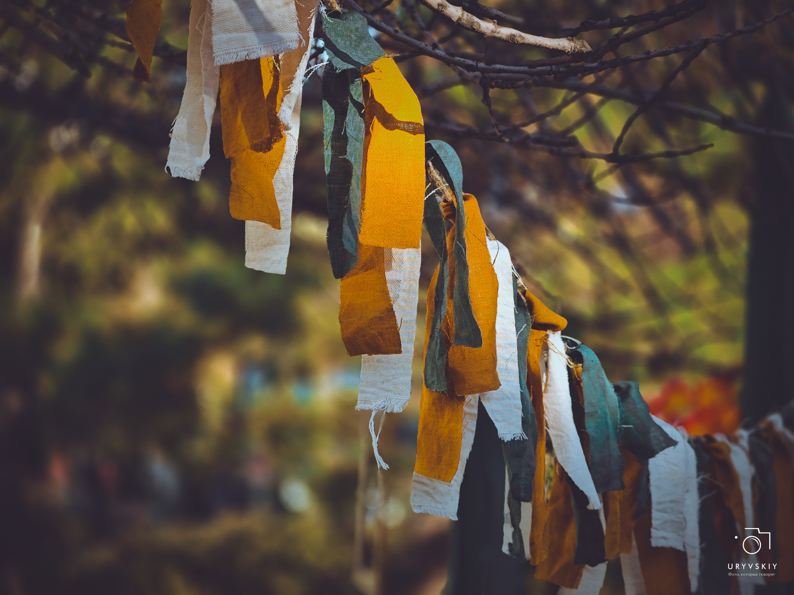 Bellini Осенний маркет. Игорь Урывский. Фотограф Красноярск