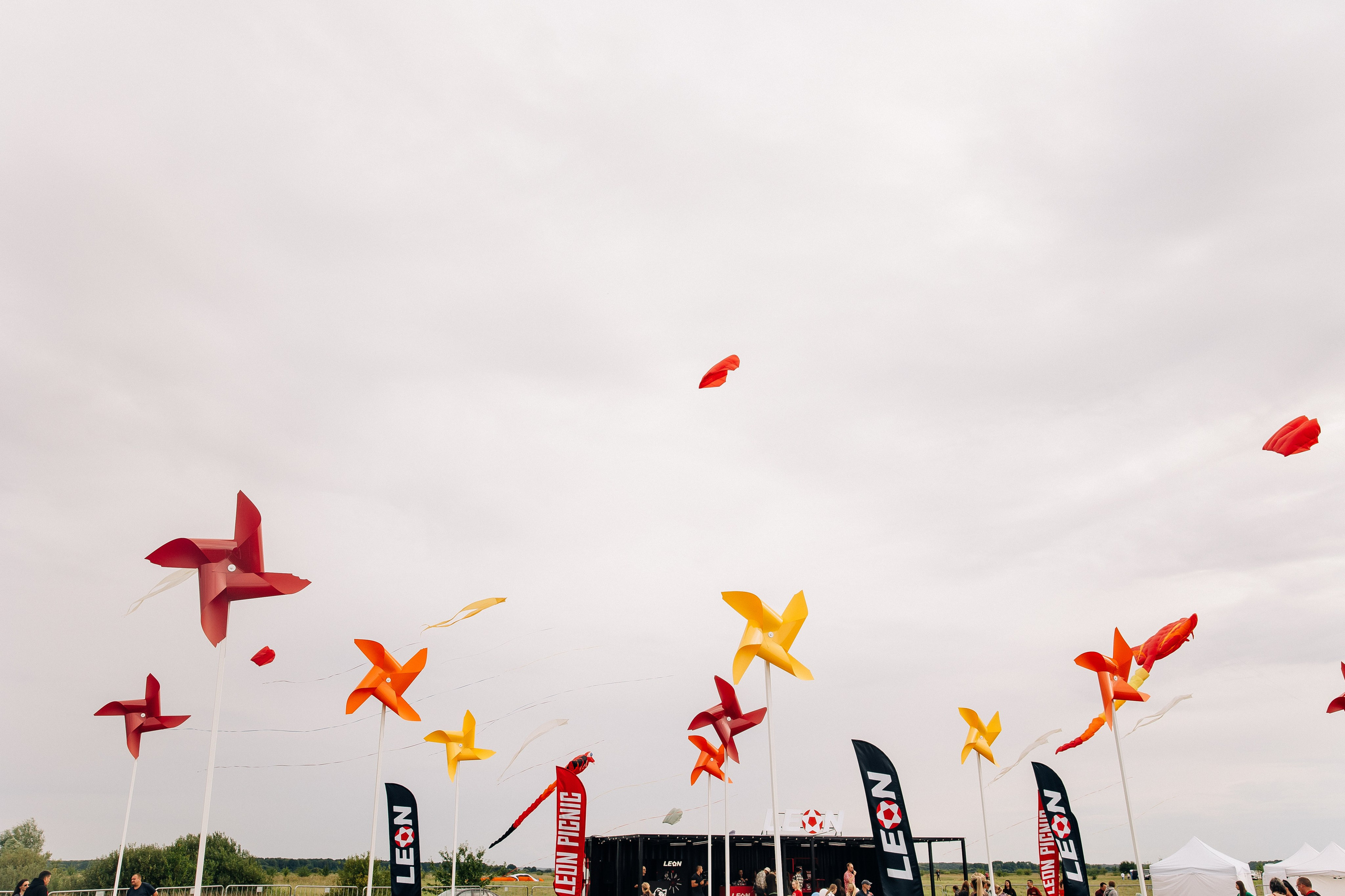 Фестиваль в Рязани. Свадебный и семейный фотограф в Воронеже Свиридова Евгения