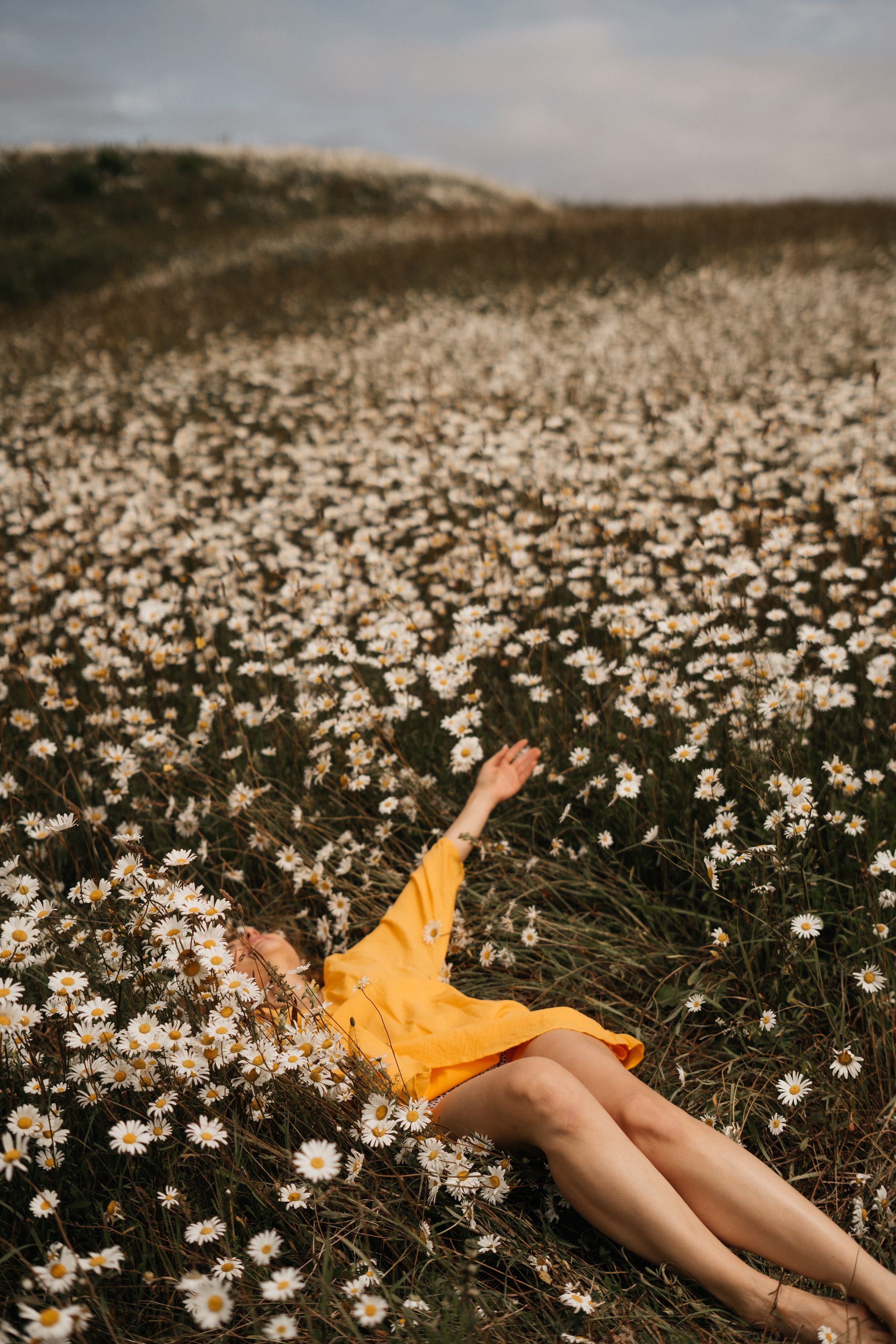 Самый красивый цветок. Фотограф сахалин