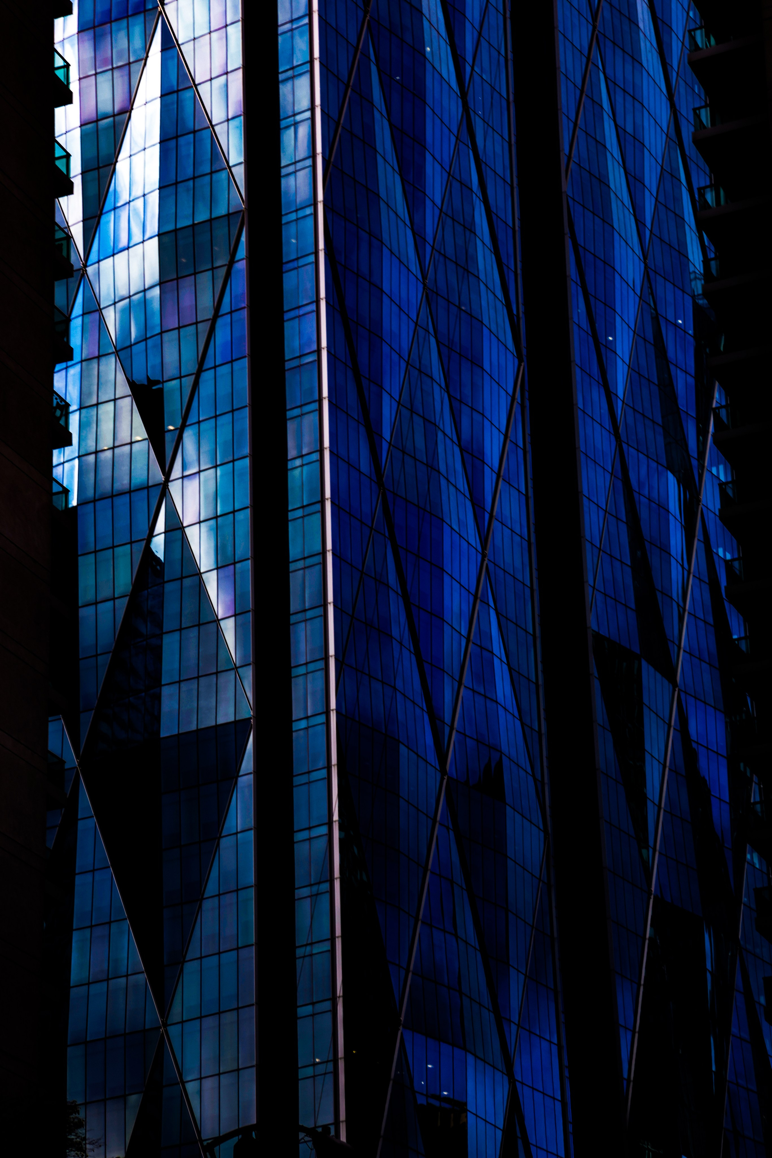 Toronto Blues. Портретный фотограф в Москве Блинова Мария