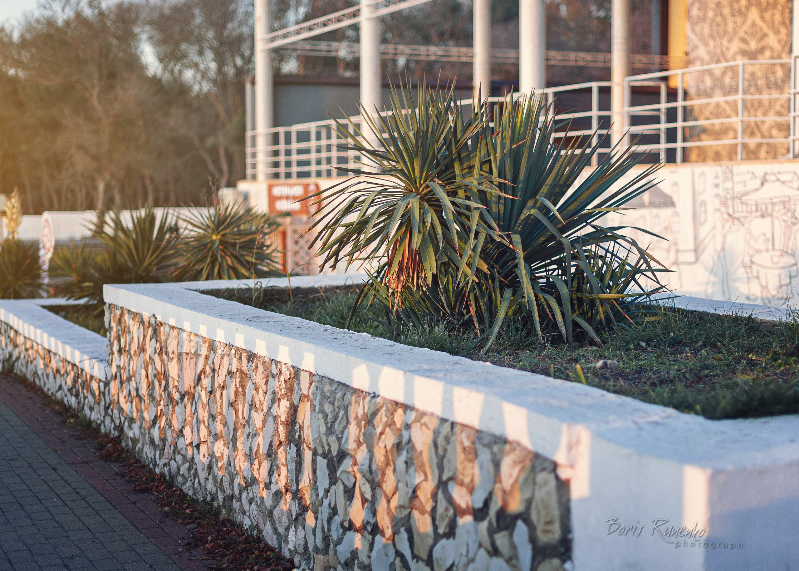 ЧЕРНОМОРСКОЕ ПОБЕРЕЖЬЕ. ОСЕНЬ. Борис Руненко. Пейзажный и travel-фотограф