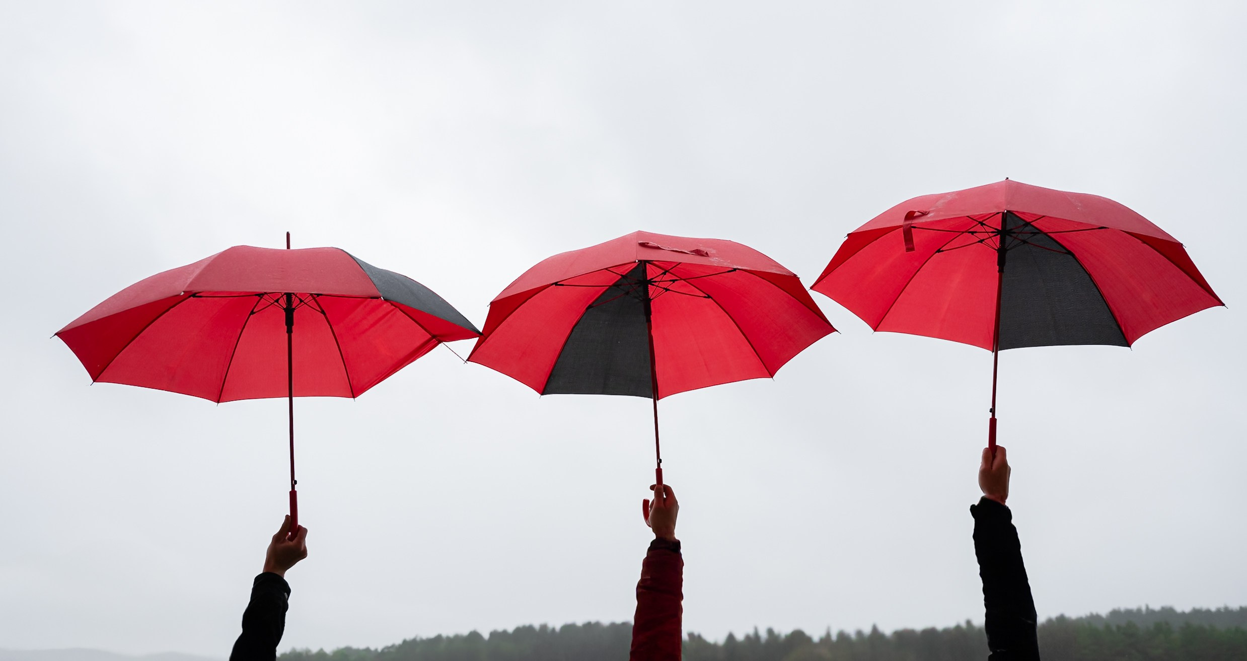 Фотограф на свадьбу Минск Москва Санкт-Петербург Свадебный фотограф Фотограф на свадьбу Репортажный фотограф Love Story Свадебная прогулка. Свадебный фотограф — Крюков Константин