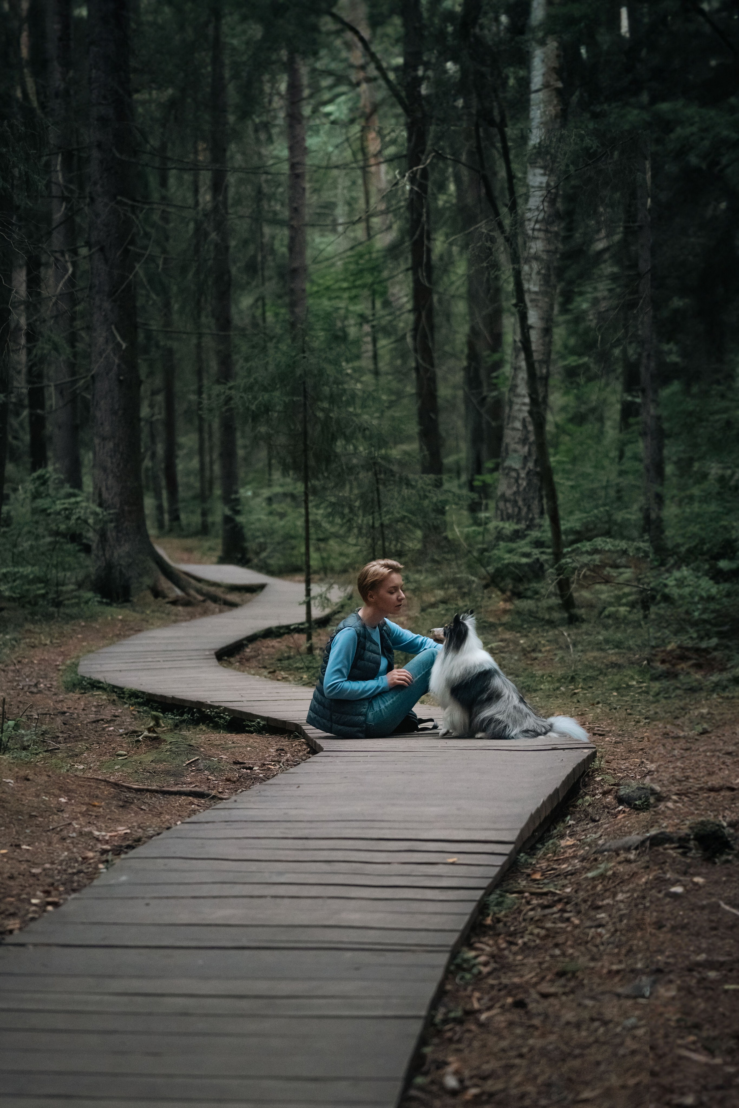 Лесная Элис. Фотограф анималист
