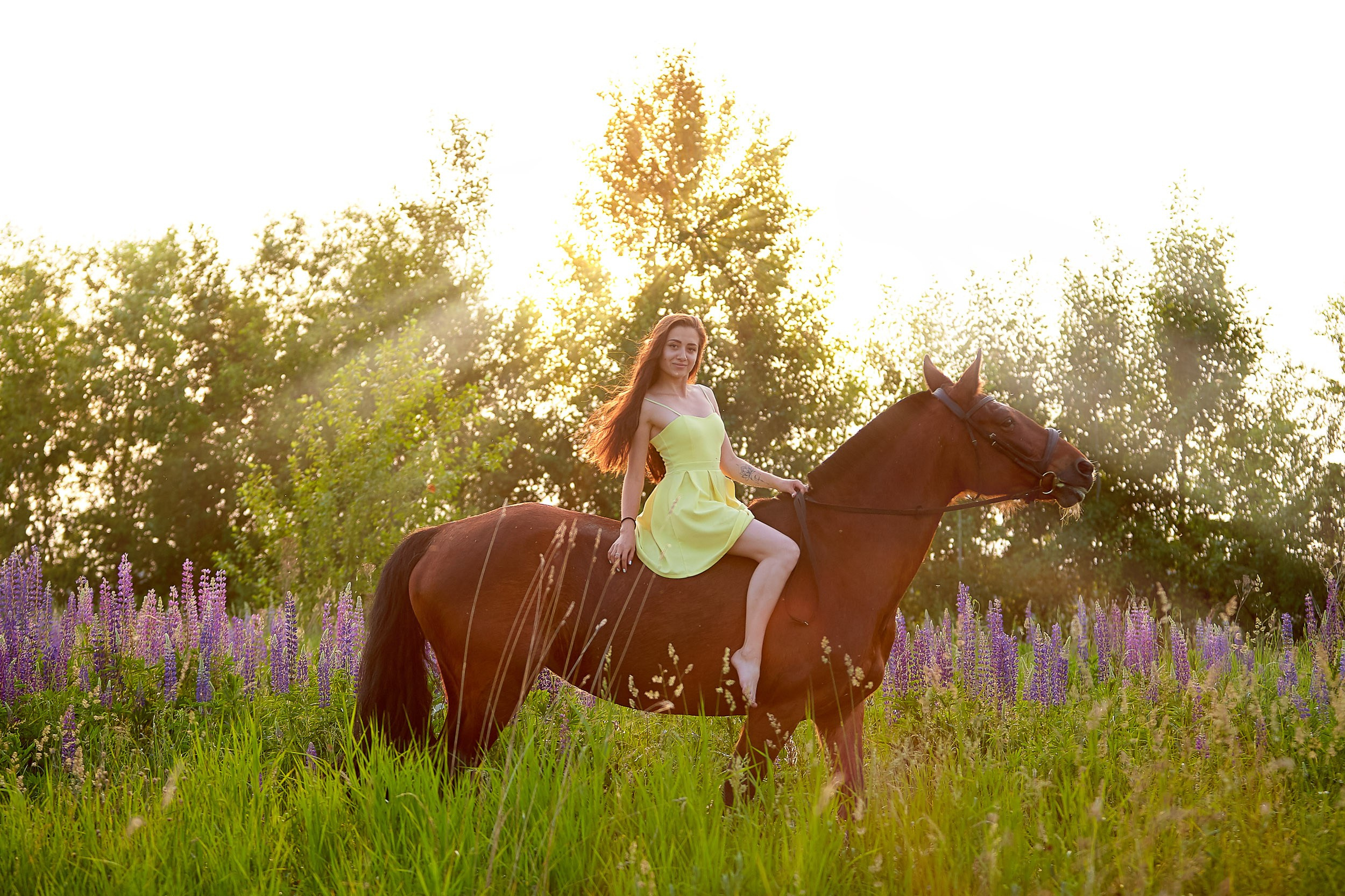 Фотосессия с лошадьми, Фотограф Михаил Семенов г. Ярославль