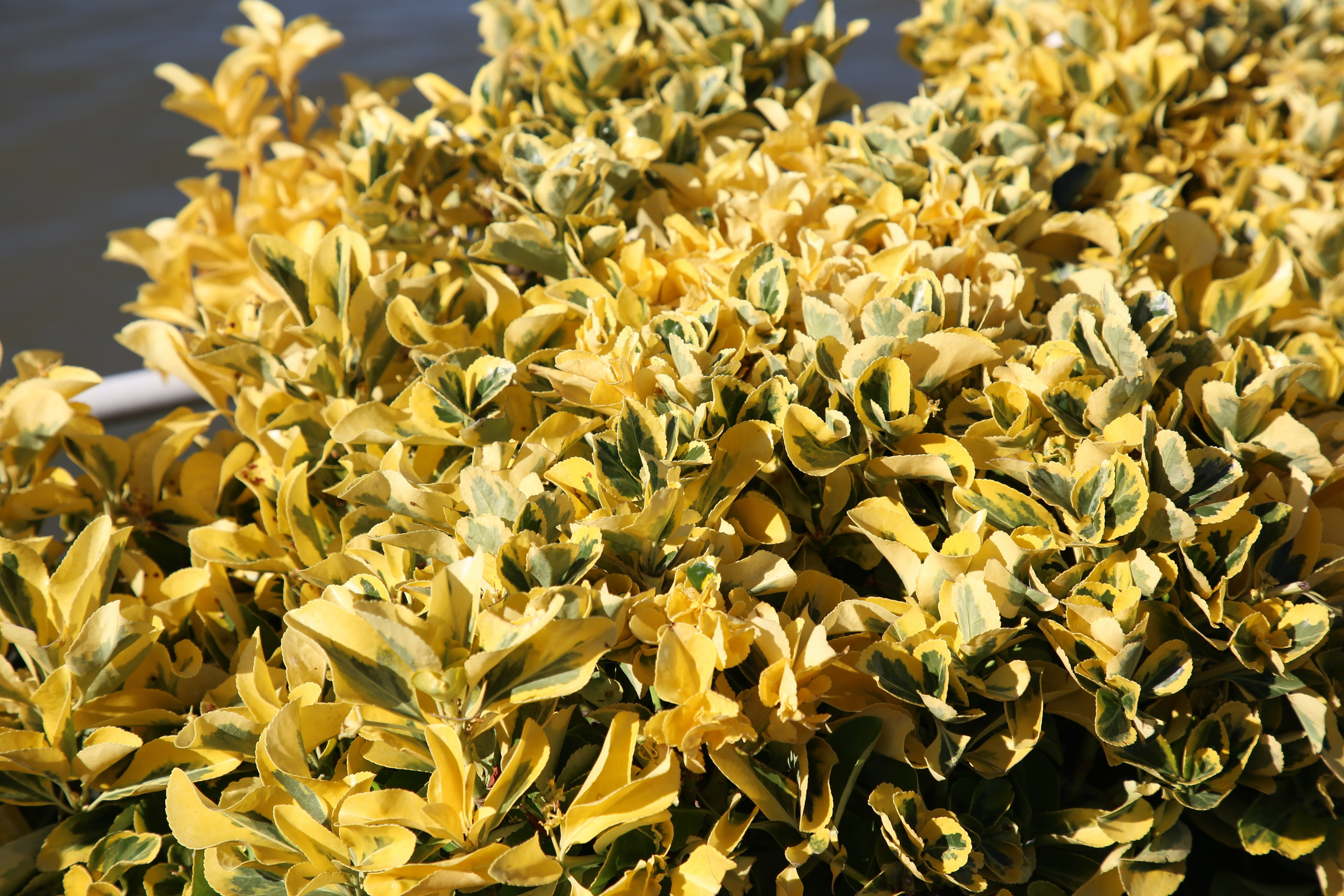 Lisbon, Portugal. Andrey Filippov Photographer