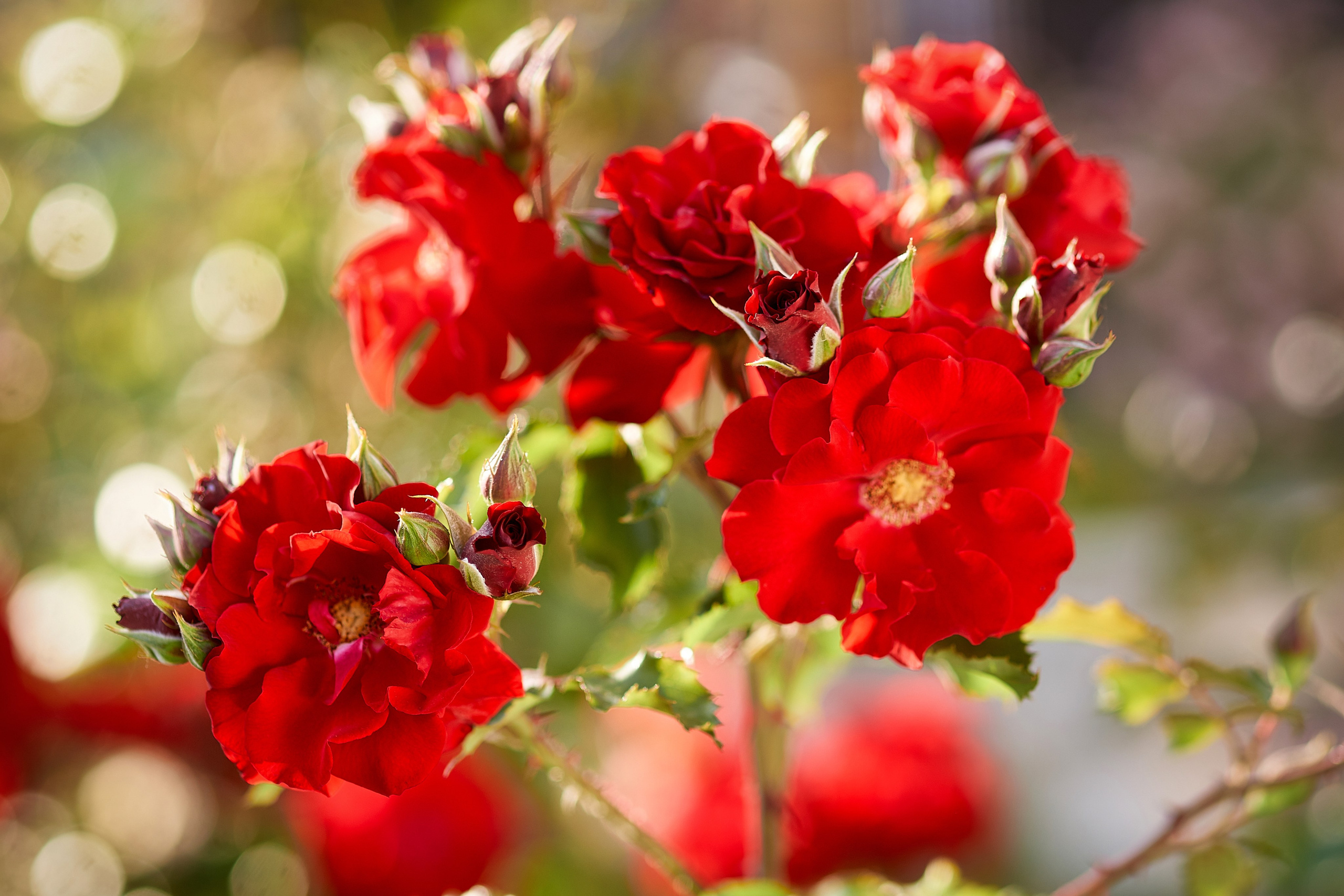 Наша мать — природа. Фотограф Владимир Артамонов