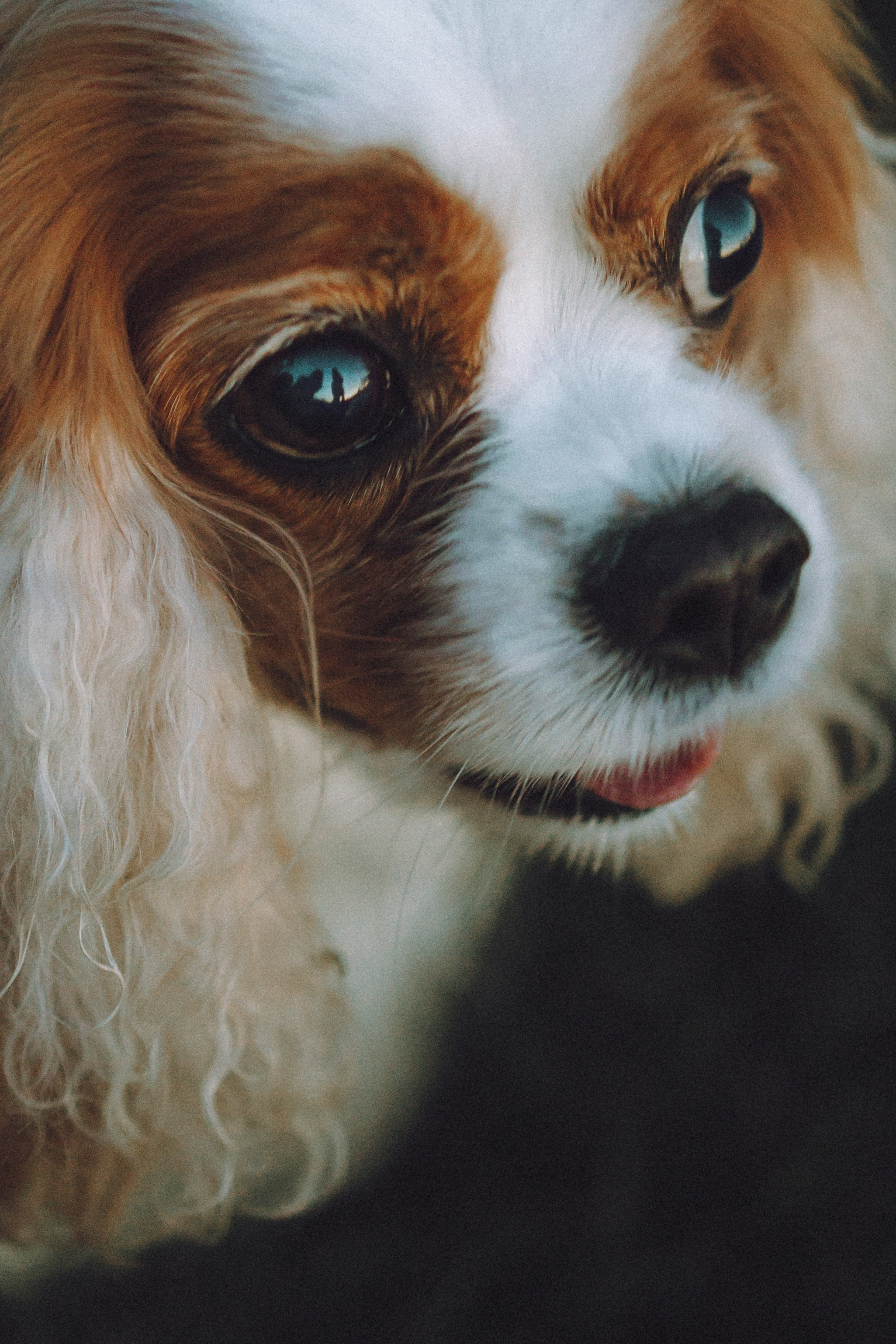 Наташа и Вики