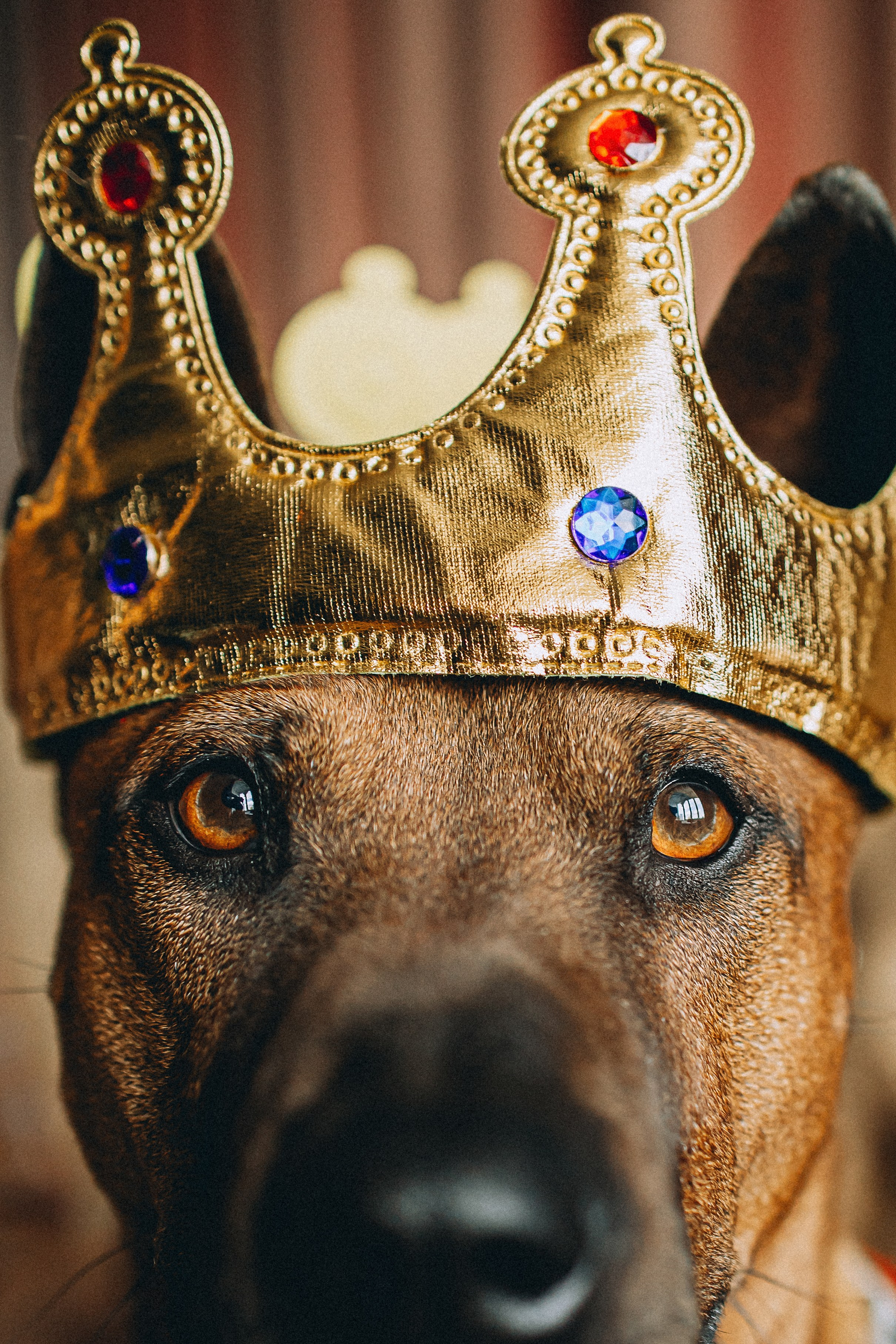 Оксана и Зевс