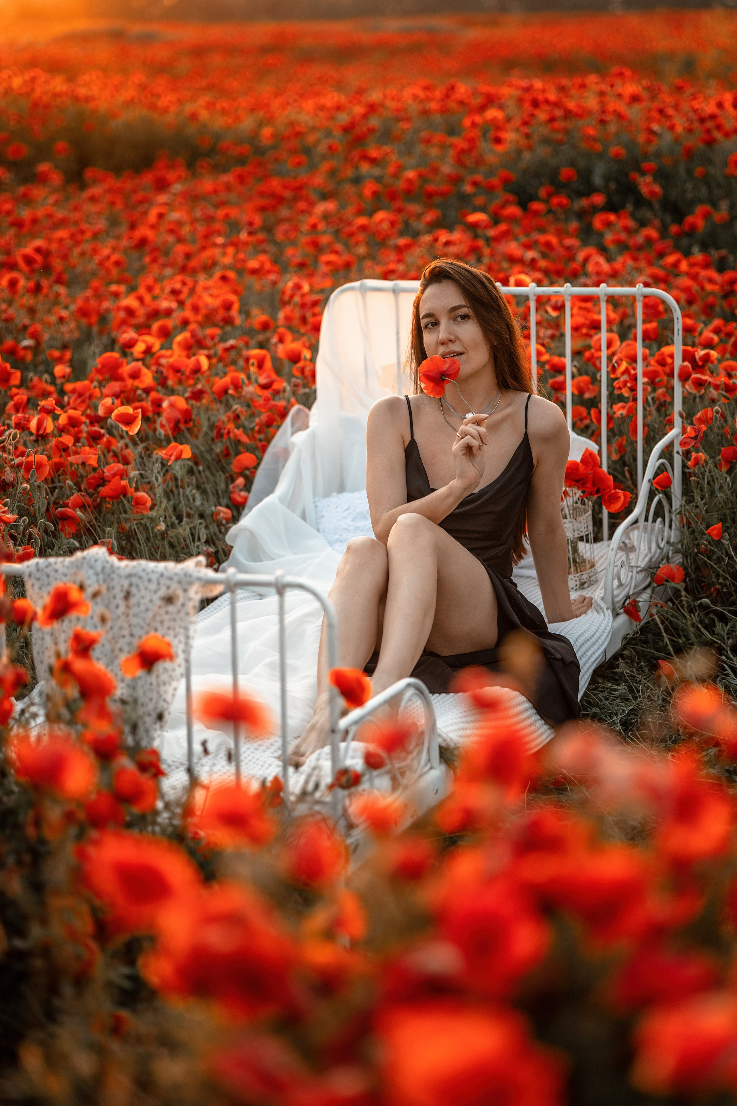 Яркие маки. Художественный фотограф Анапа Александра Долбикова