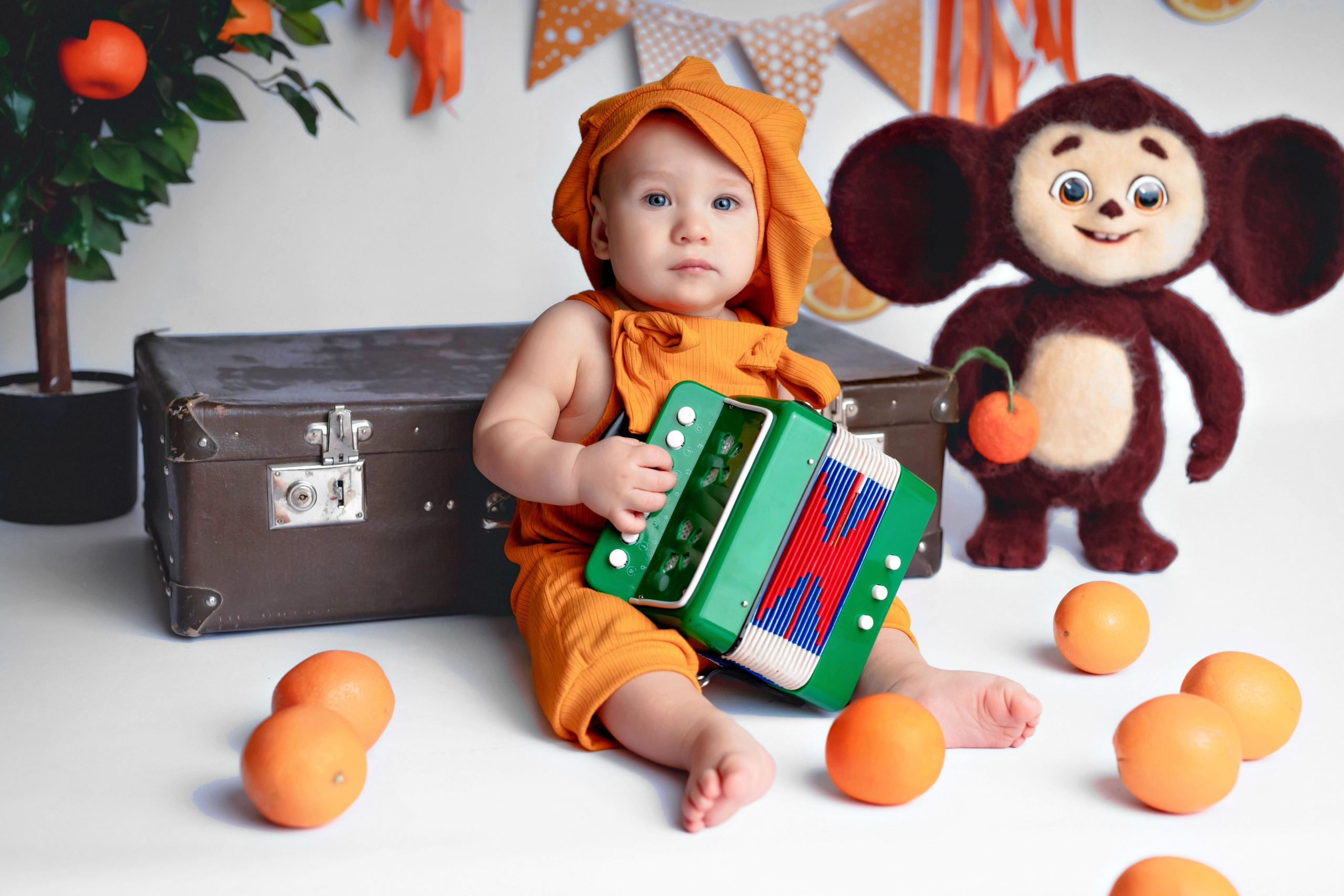 Апельсины. Фотограф Болотова Иветта