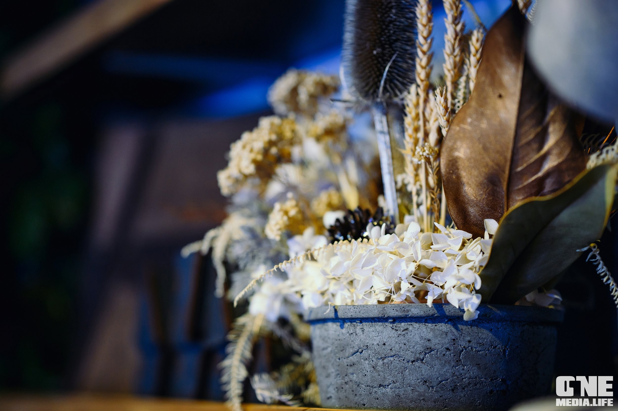 Фоторепортаж из Dreadnought. One Media Life: фоторепортажи, фотоотчеты с мероприятий и заведений