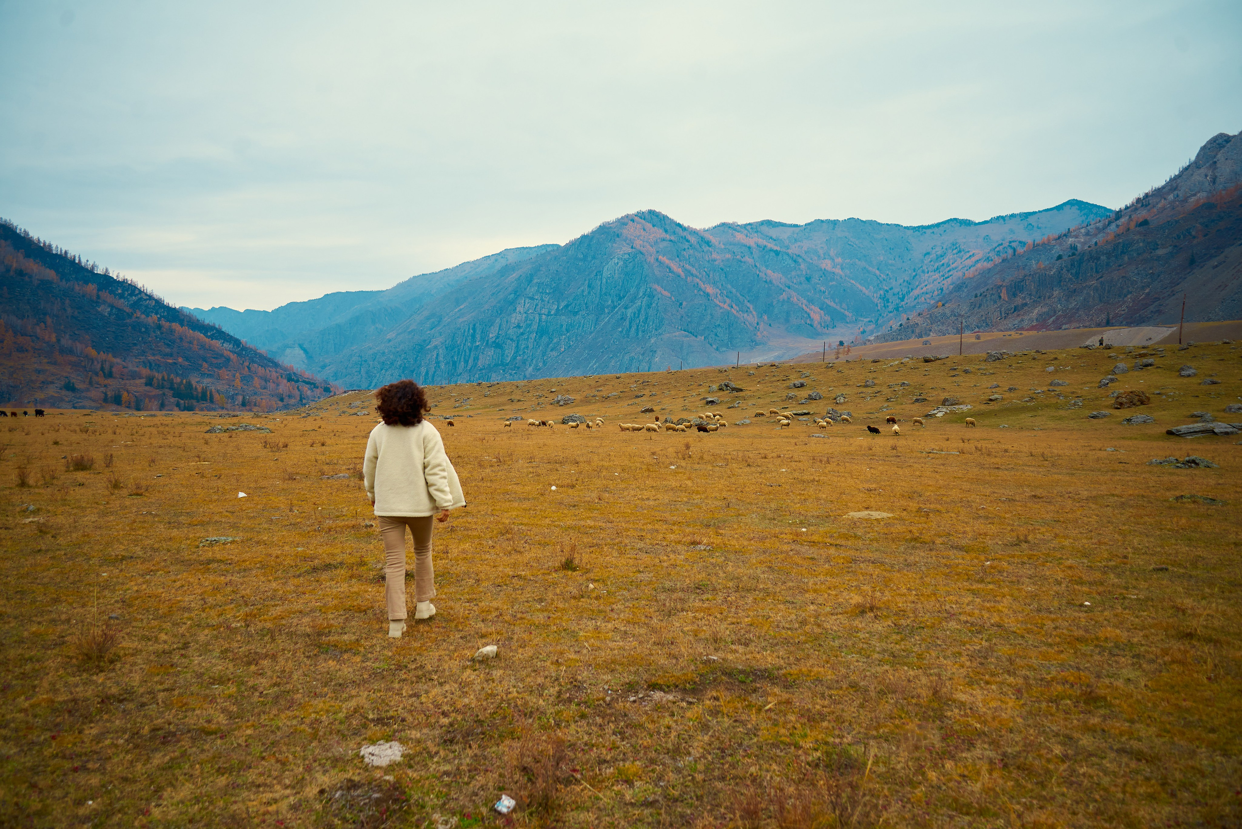 Вика. Семейный фотограф в Барнауле, Горный Алтай, Заринск, Алейск
