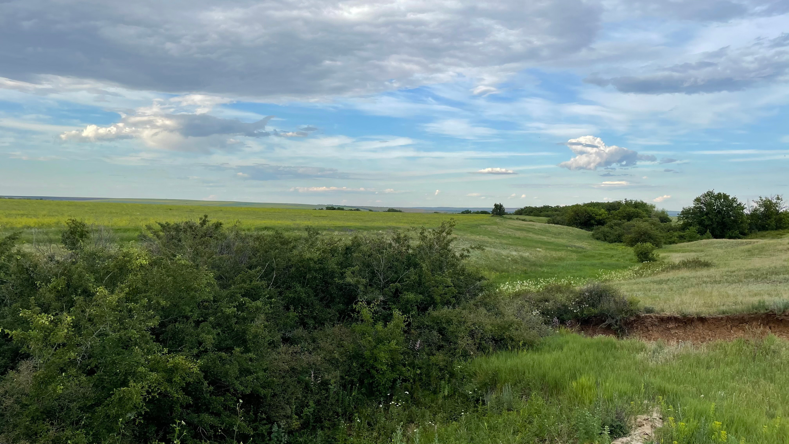 10 600 Степь. Овраг. ВИЗУАЛЬНЫЕ И ЗВУКОВЫЕ РЕШЕНИЯ ДЛЯ БИЗНЕСА И СЪЁМОК ТЕЛЕТЕЛА